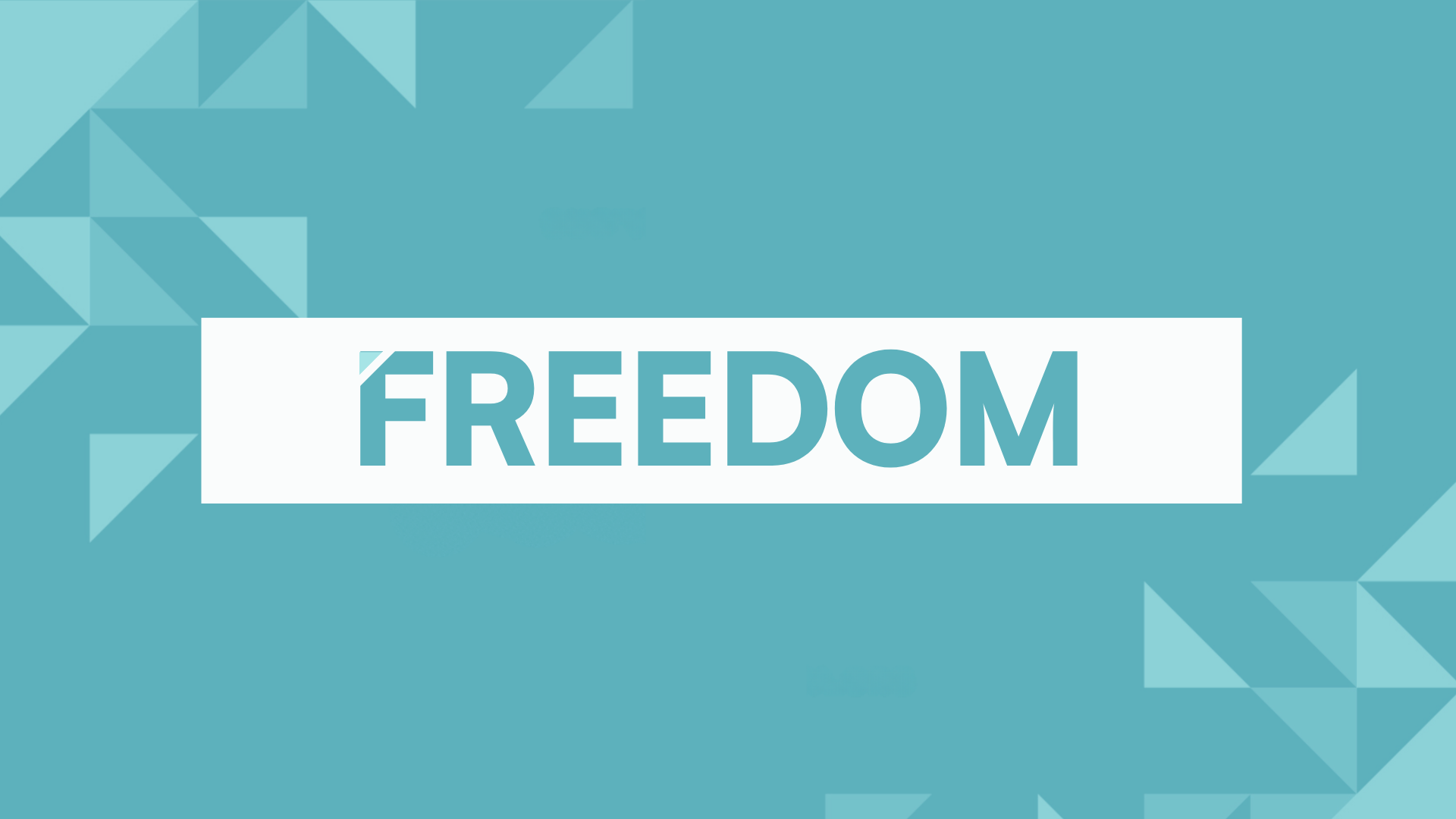 Freedom Group