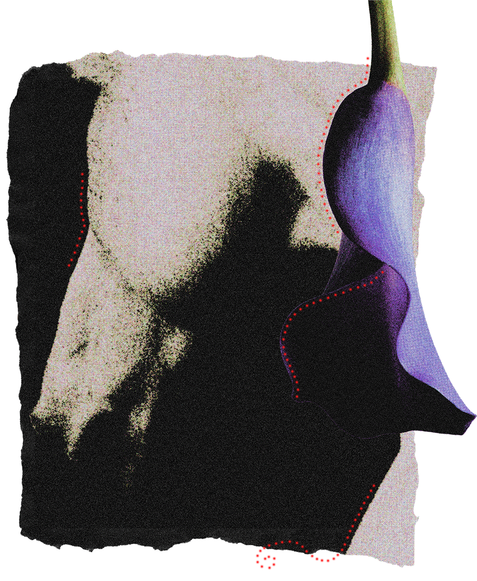 A black and white anatomical illustration of a female torso, showing internal organs, with a purple and blue flower overlay on the right side, outlined with red dotted lines.