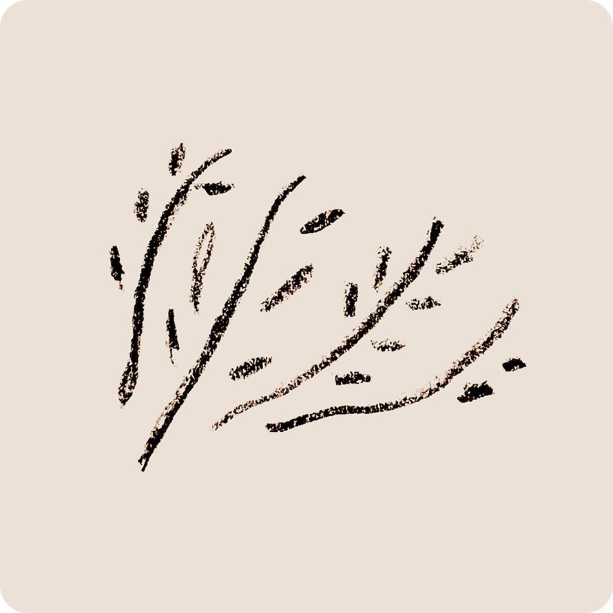 Geometric drawing of an outline square with sections divided by vertical, horizontal, and diagonal lines.