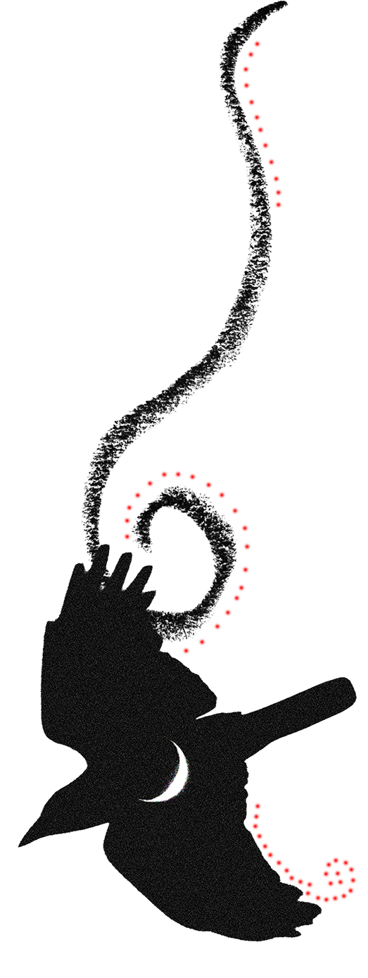 Silhouette of a hummingbird with a crescent moon on its body, flying with a red dotted line outlining its flight path, set against a black background.