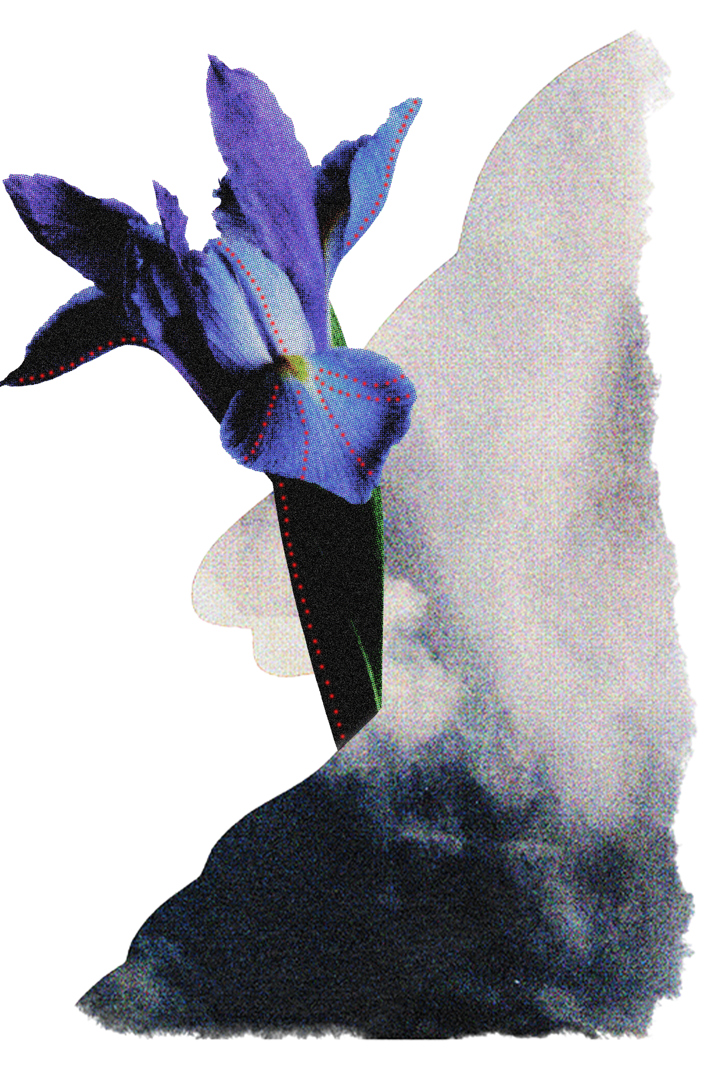 A digital collage features a black-and-white photo of a woman's face with a blue iris flower overlay, creating a surreal, abstract image.