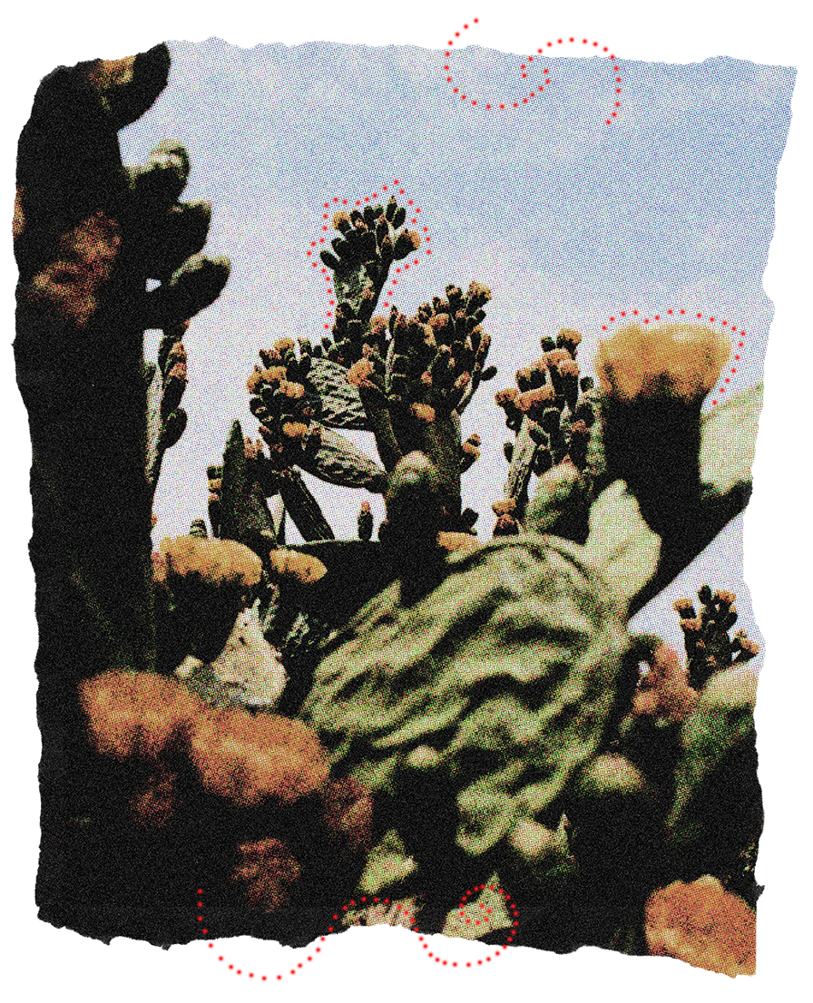 Close-up of a flower spike with small purple flowers and green leaves, viewed from below against a light blue sky.