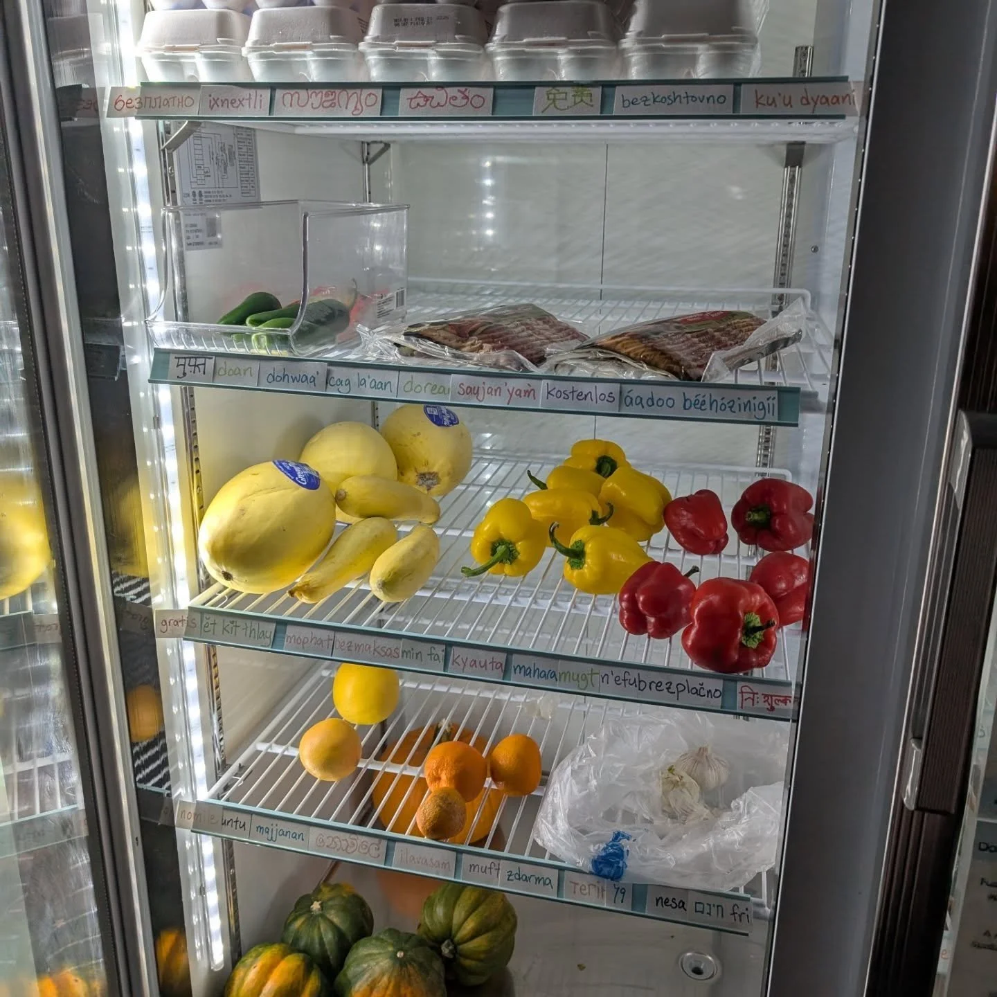 Pretty good offerings for a rainy night at the FREEdge at quarter to 7 

Eggs, Suja shots, bacon, yogurt, various pickles, various squash, tomatoes, peppers, oranges, grapefruit, potatoes

Frozen pizza, fried rice &amp; a couple meats

Tuna, tomato p