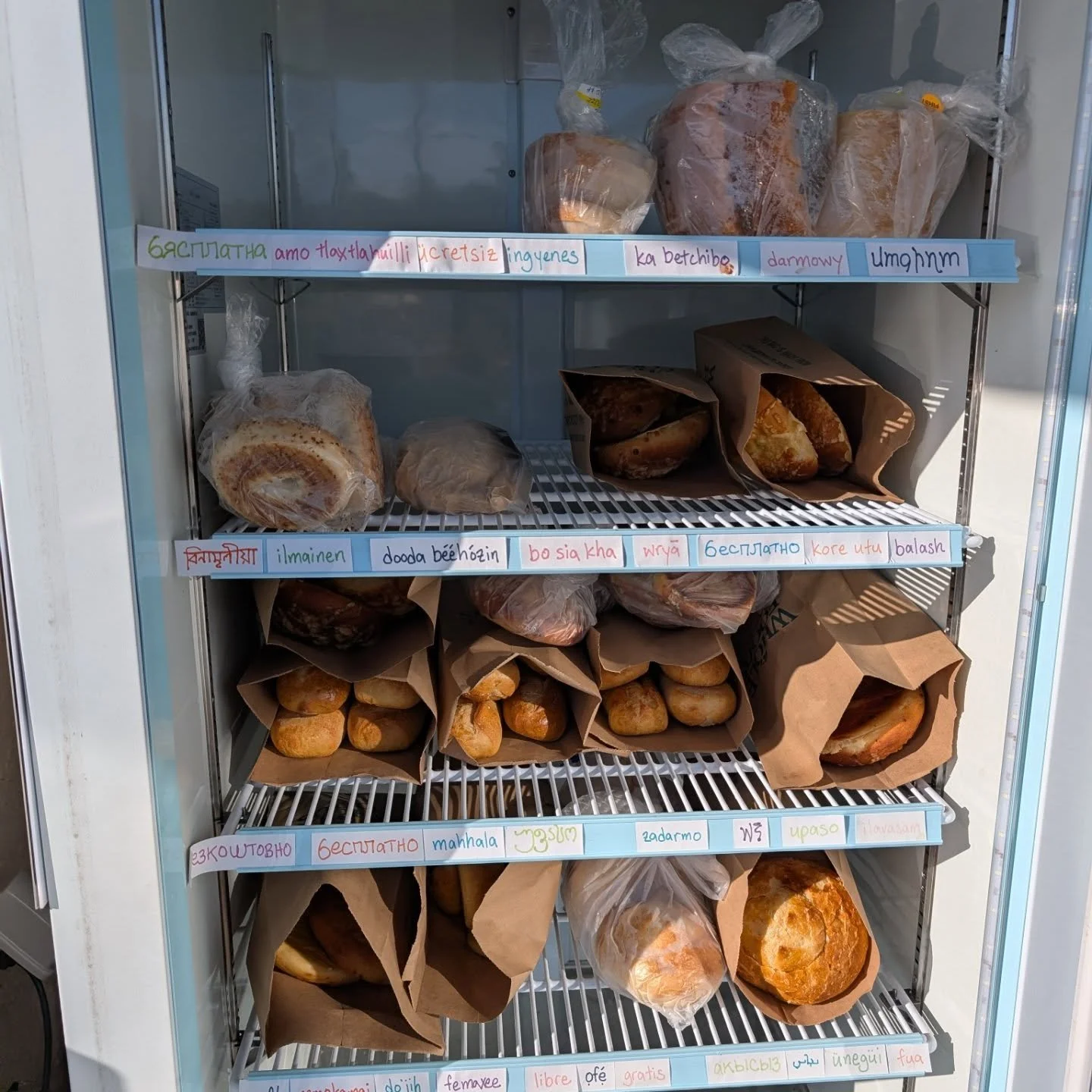 Overflowing FREEdge, FREEzer &amp; shelf this beautiful Sunday afternoon! Thank you Tucson!

FREEzer: lots of @panerabread 💛🧡💛 

FREEdge: more Panera yummies! diet coke, lettuce galore, ensure, poblanos, tomatoes, butternut squash, grapefruit, tom