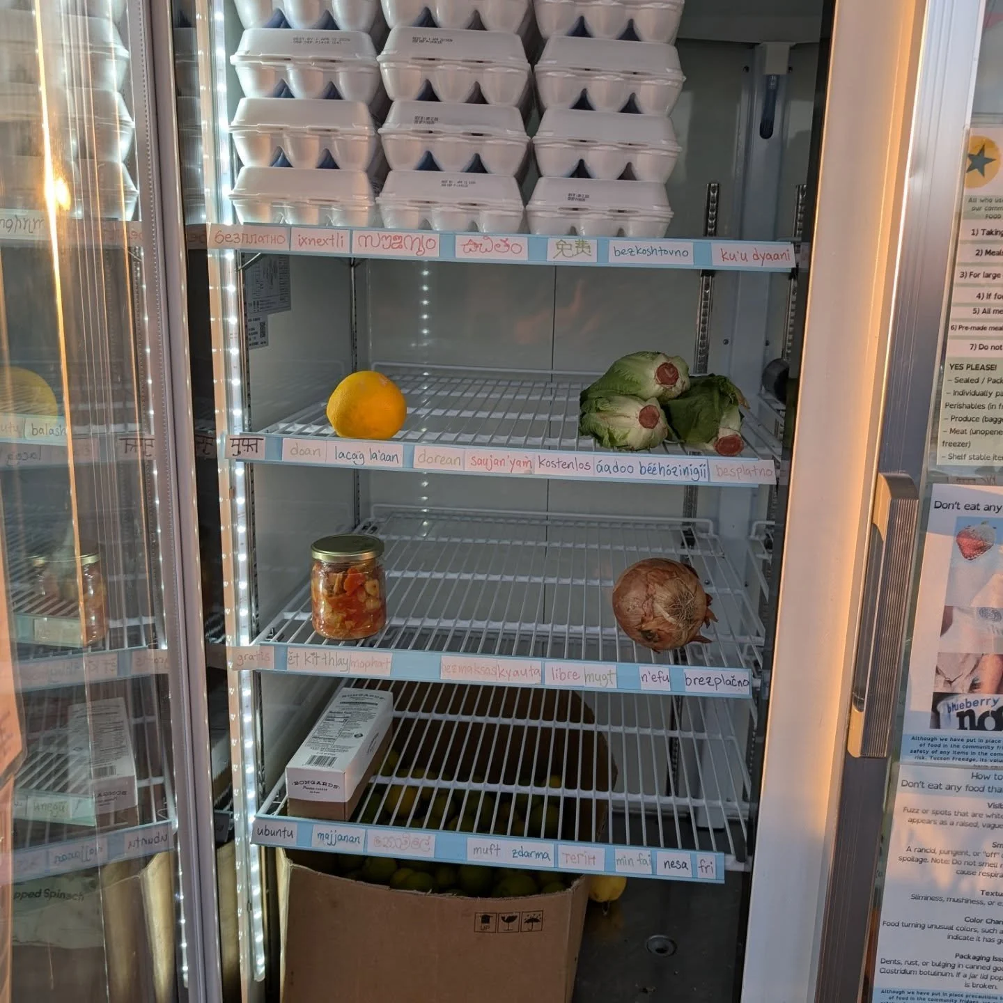 Some nice drops at the FREEdge today! Thank you everyone!

FREEdge: milk, juice, tomatoes, lettuce, eggs, soup, lemons, peppers, onions, cheese, oranges

FREEzer: buns, cupcakes, bread, spinach

Shelf:

Tuna, chicken, pasta, beans, oats, rice, noods,