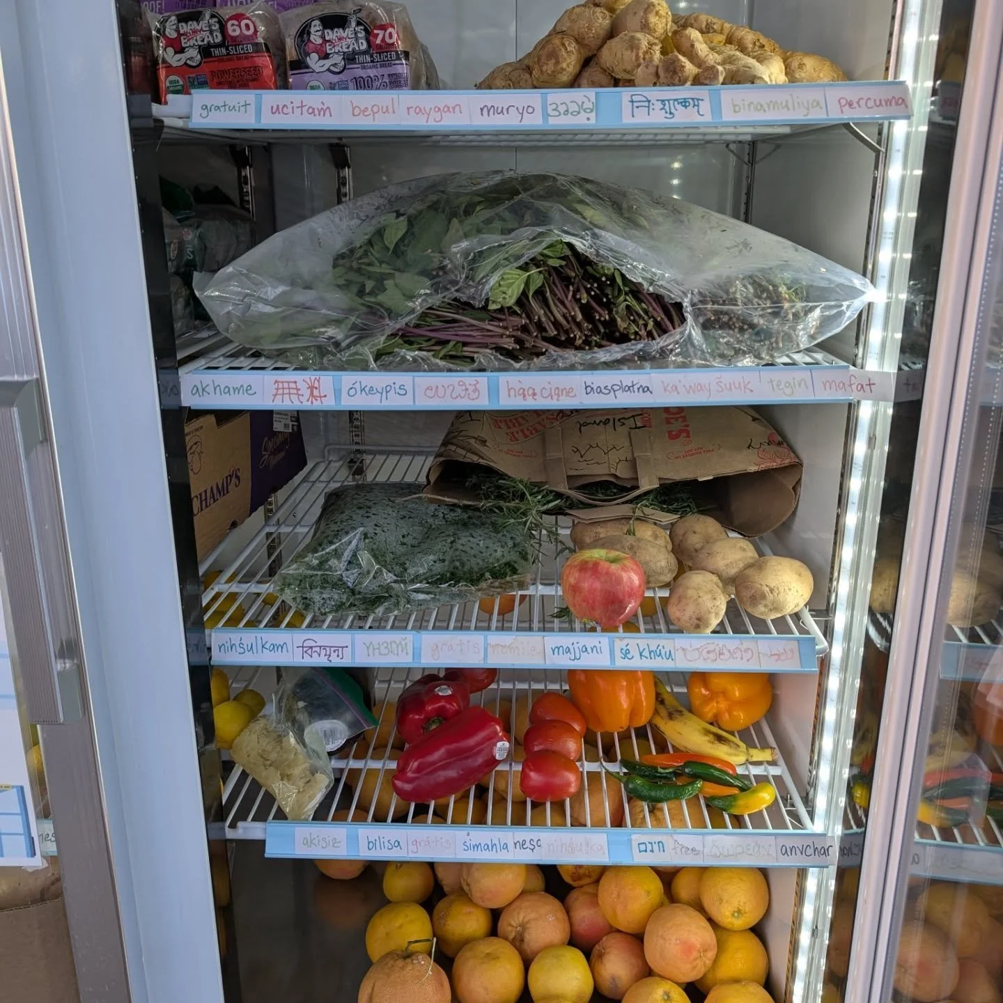 A chef's dream at the FREEdge tonight!

FREEdge: island rosemary, thai basil, portabello mushrooms, ginger, yams, grapefruit, peppers, bagels, english muffins

FREEzer: bread and buns galore!

Shelf: onions, black beans &amp; noods!

Thank you everyo