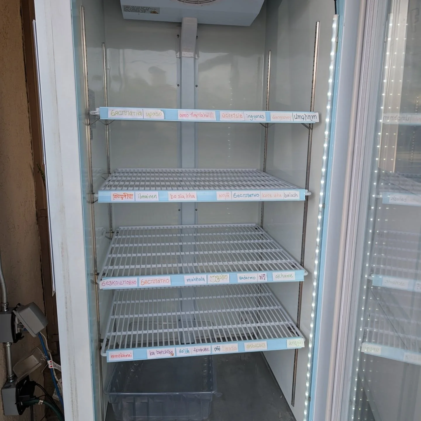 Friends we are really truly closer to that dreaded word -- EMPTY -- than I think I've ever seen it. We're packing up a bunch of bread right now so the freezer will have bread soon.

Otherwise there are a few small potatoes, water, lettuce, 4 sour ora