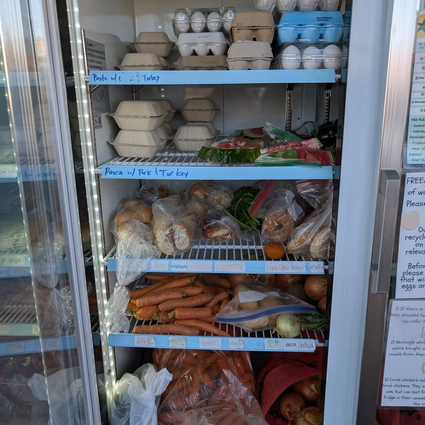 Another hopping day in FREEdgeland! Thank you to all of our helpers out there -- you making a HUGE difference for people! 🌵💙🩵💚🩵💙🌵

We need egg cartons (as always) and are really appreciating donations of sandwich fixings (lettuce, sliced chees