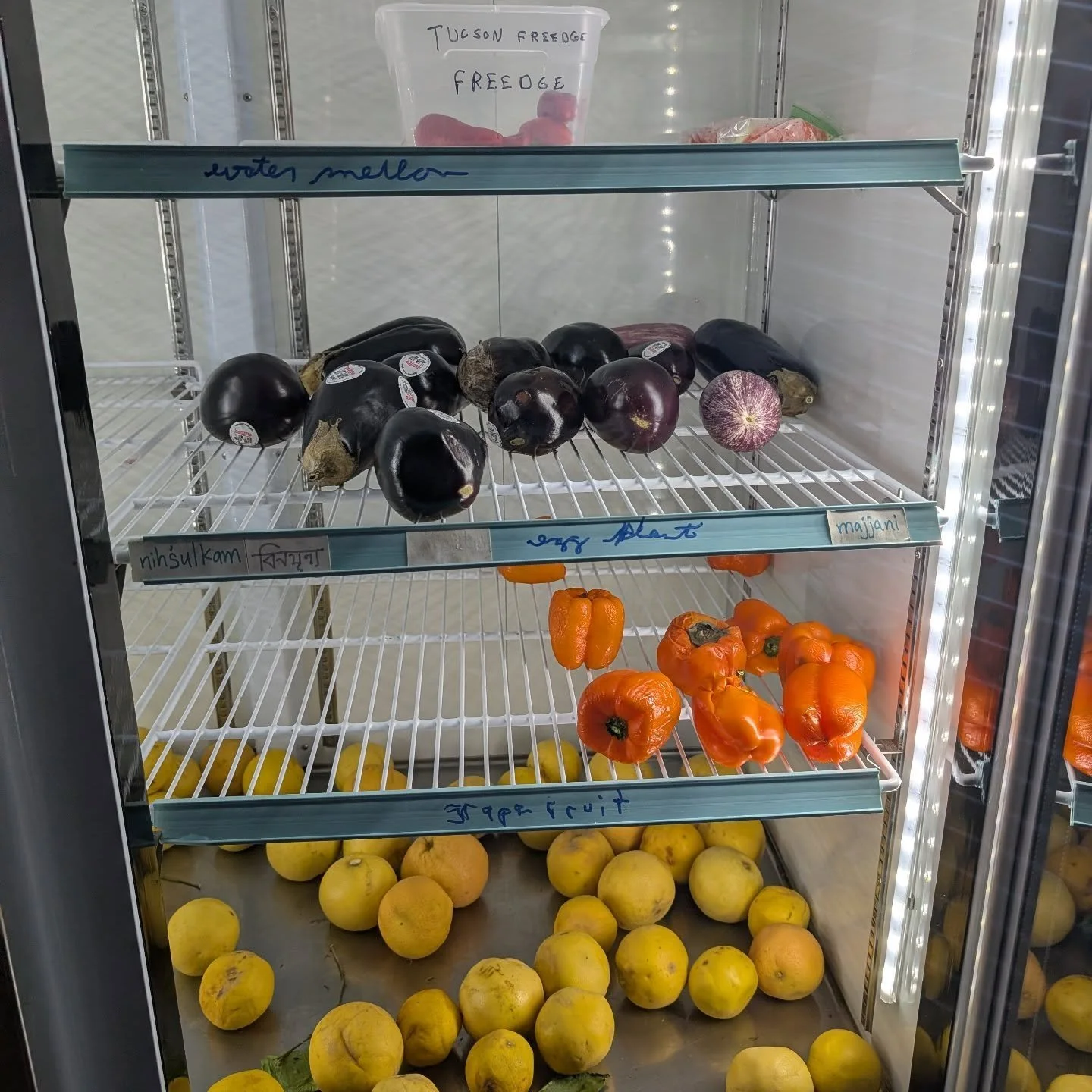 Well it's not empty but things are a little slim this evening at the FREEdge!

We have eggplant, peppers &amp; grapefruit!

Not pictured: all the tasty things folks were dropping off all day which have already found bellies to fill!

Especially appre
