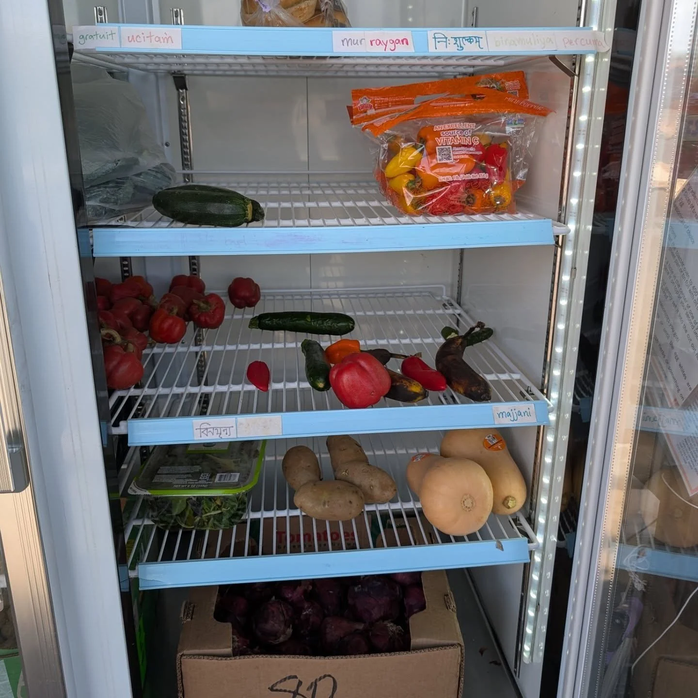 Quite a decent selection of produce at the FREEdge today!

FREEdge: baby potatoes, butternut squash, kale, small peppers, red peppers, green beans, red onions, salad greens, mandarin oranges &amp; zucchini

FREEzer: some bread and a couple ice pops

