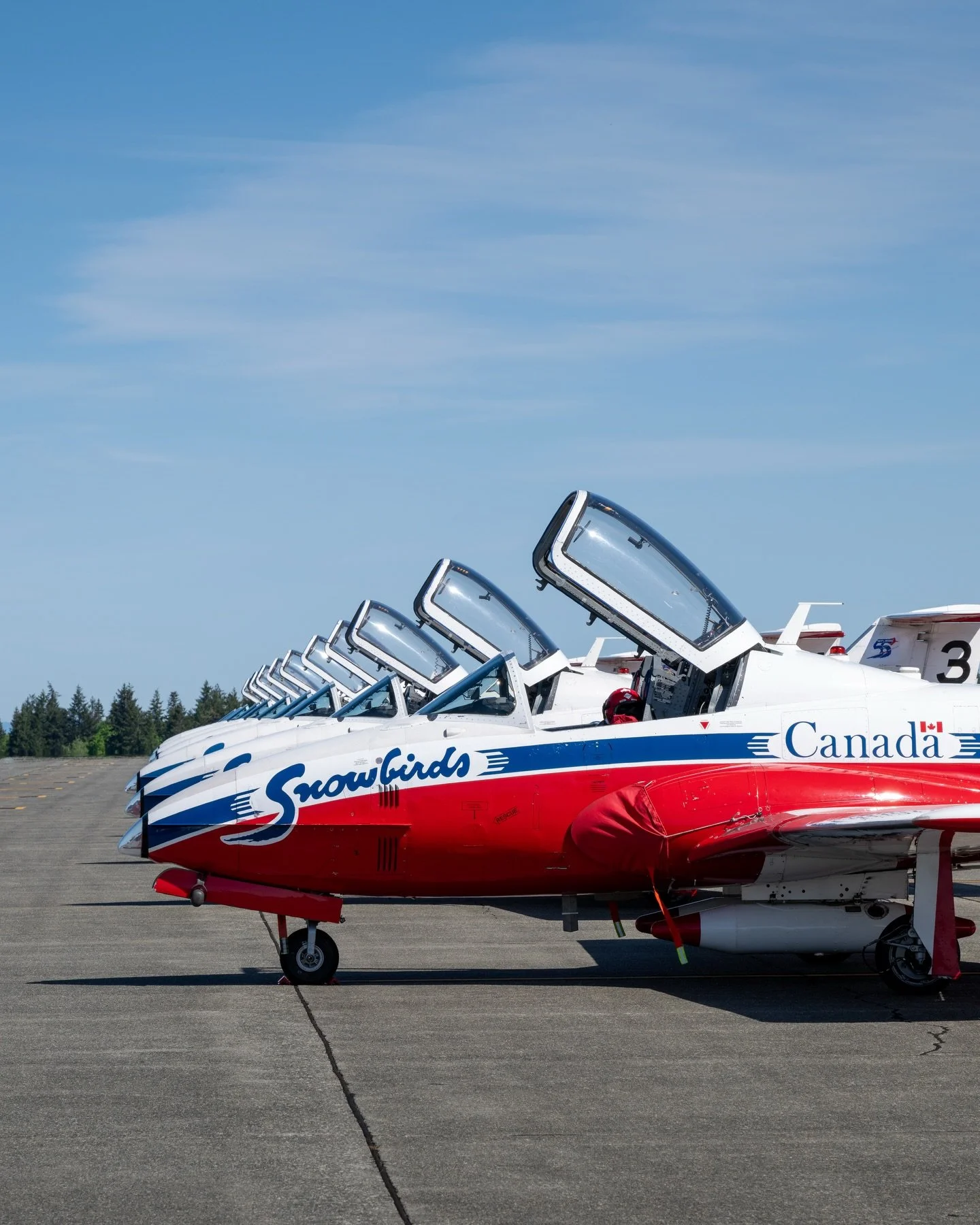 Snowbird season
&bull;
&bull;
&bull;
&bull;
#cfsnowbirds #ct114 #19wingcomox #rcaf #airshowphotography