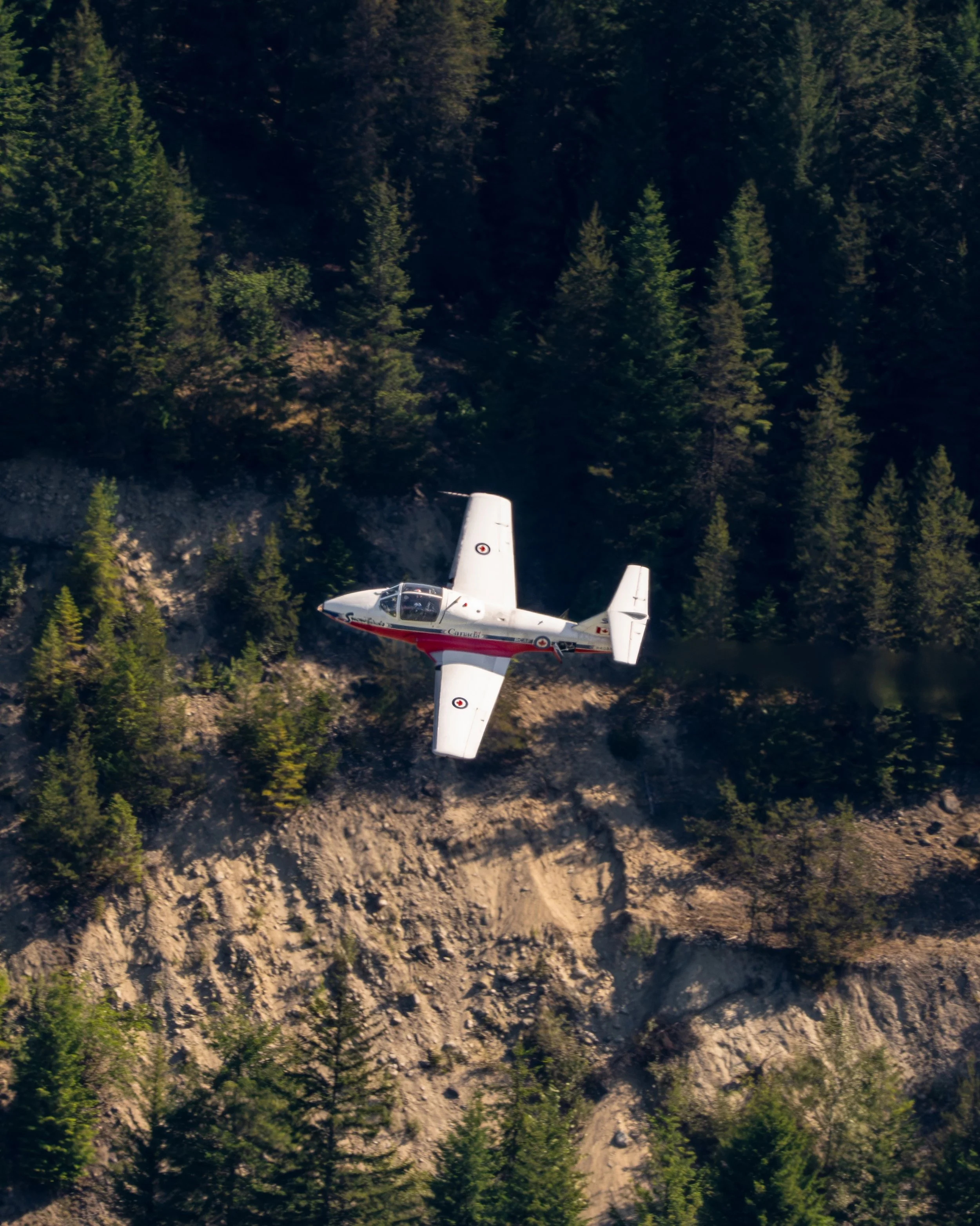 A snowbird migrating back home for the summer.

Yesterday the @cfsnowbirds wrapped up their annual trip to Comox and headed back home to Moose Jaw. I happened to be in the right place at the right time to catch one of them flying to Kamloops for a fu
