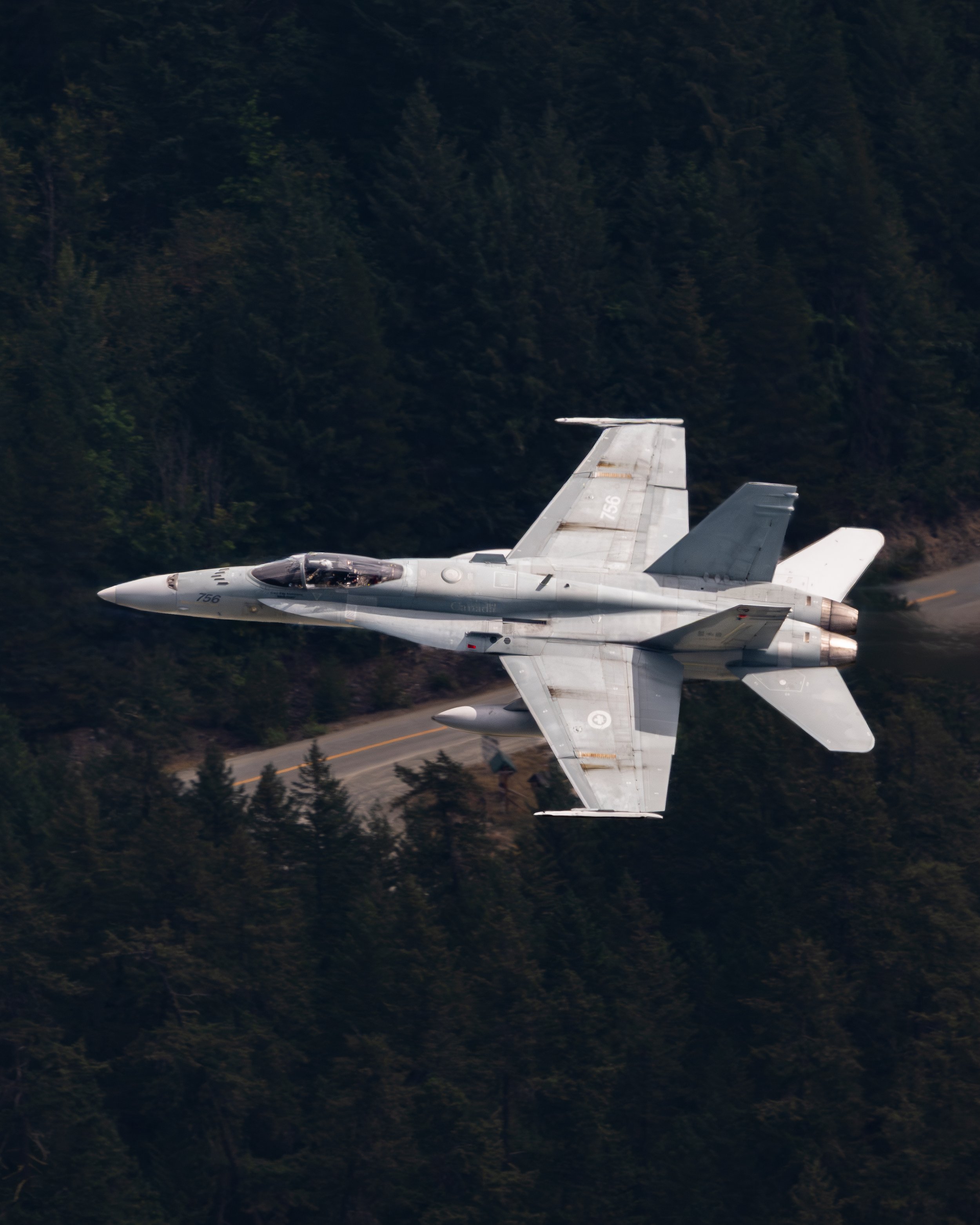 A Royal Canadian Air Force (RCAF) CF-188A (188756) Hornet flying through the mountains of British Columbia.