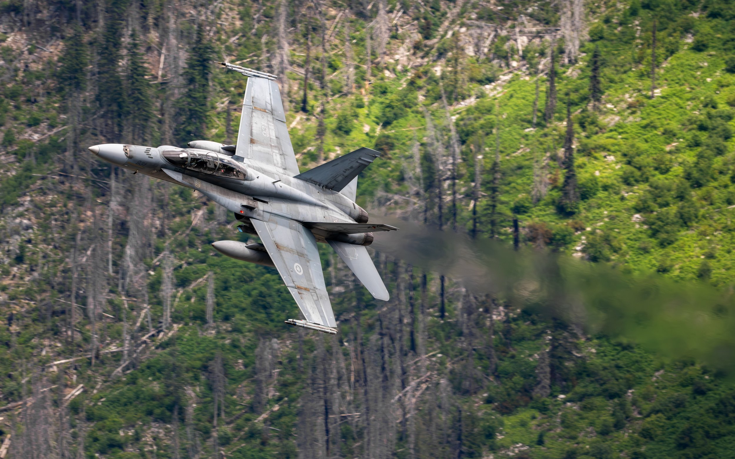 410 Low Level-4.jpg