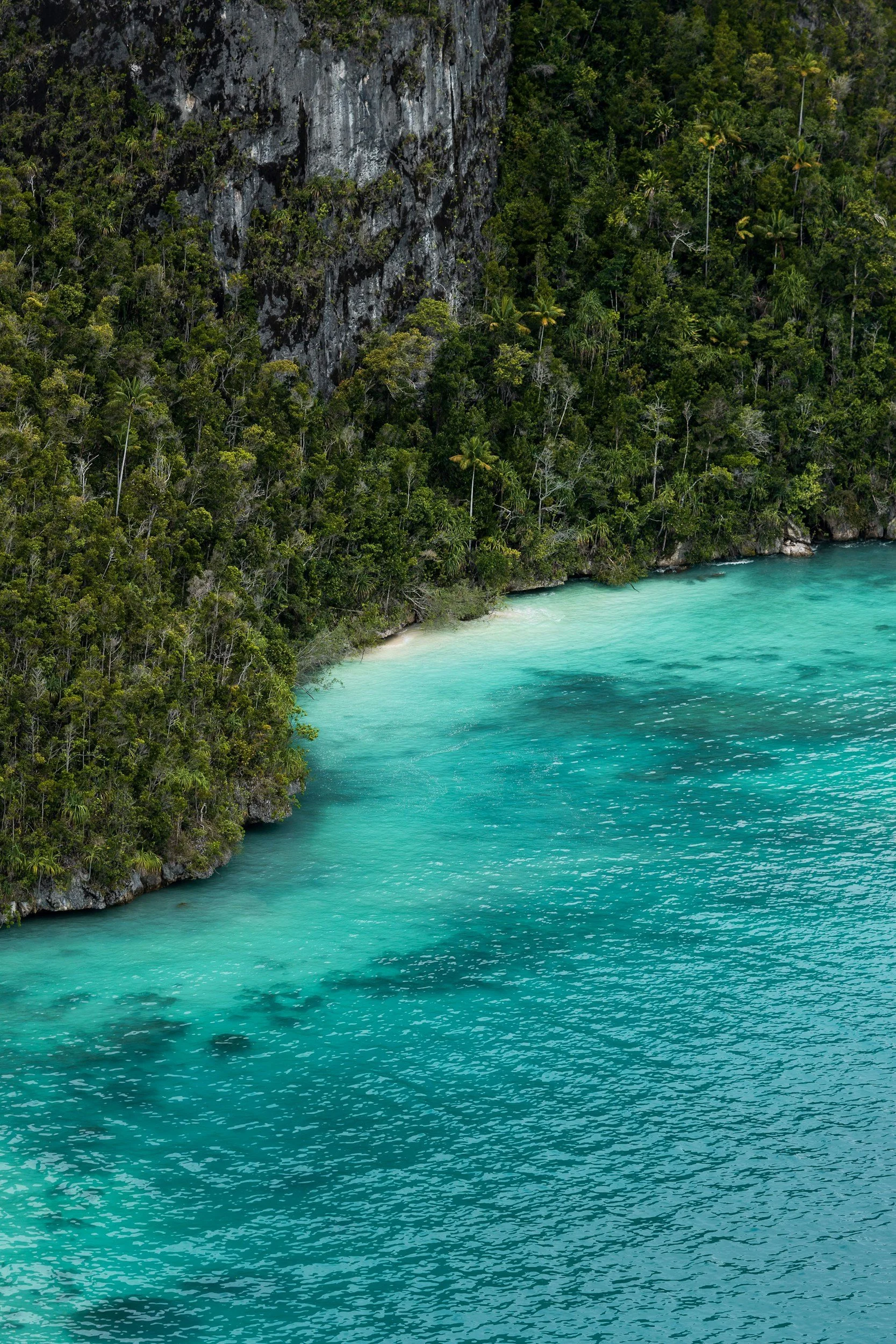 Tropical beach with turquoise water, dense green forest on the shore, and steep rocky cliffs in the background.