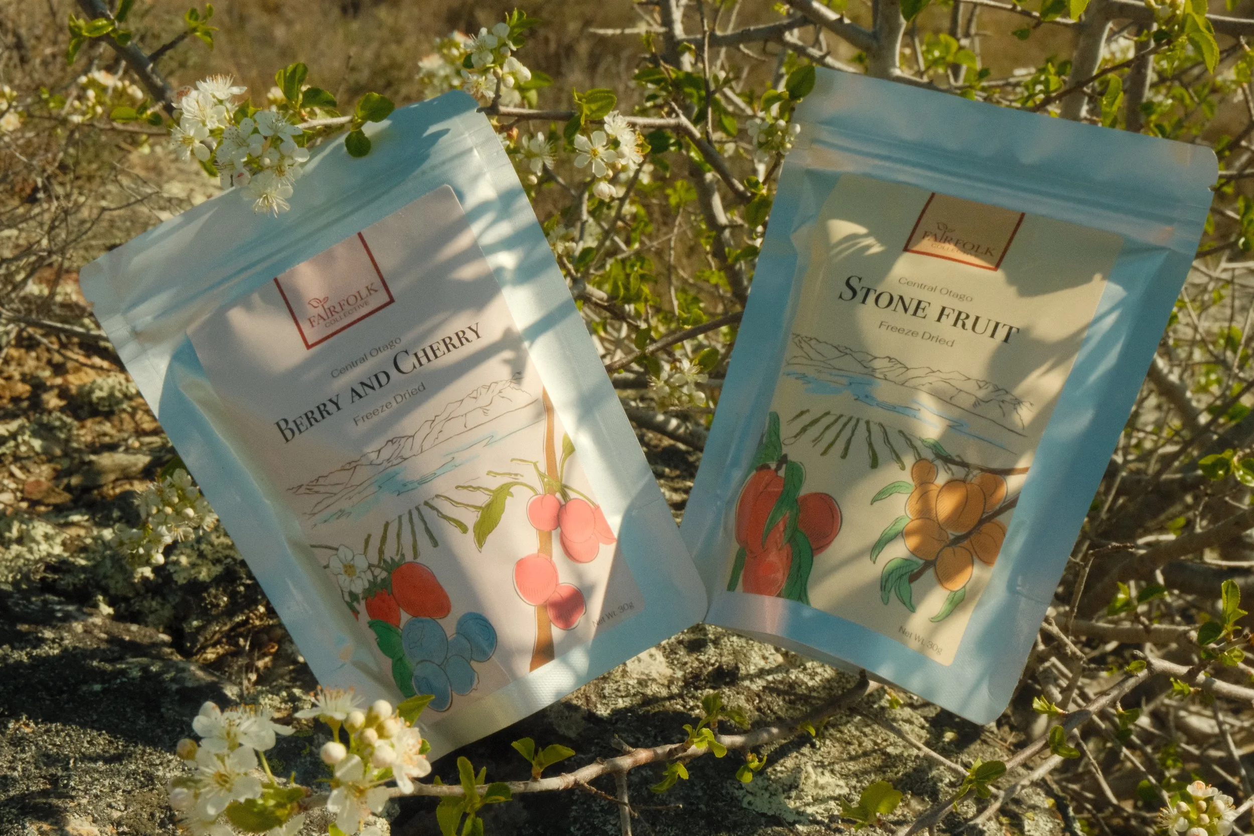 15 Creative Ways to Use Freeze-Dried Fruit