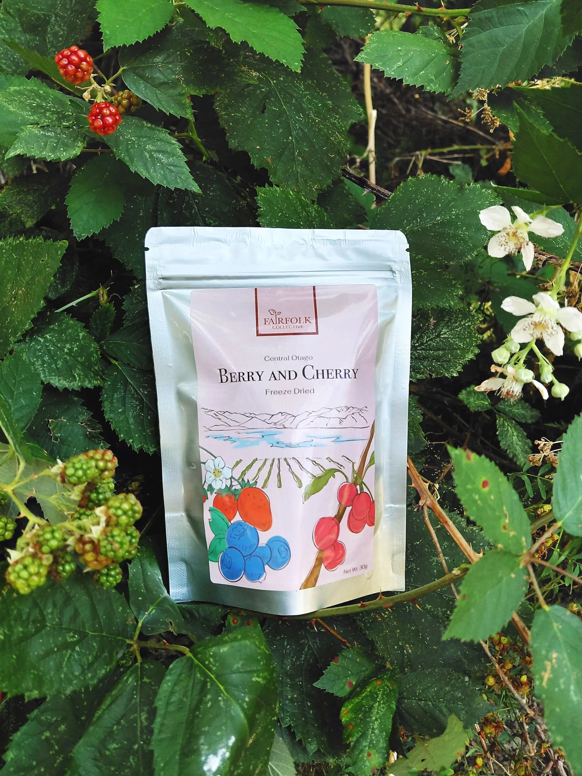 Freeze Dried Berry and Cherry - 30g