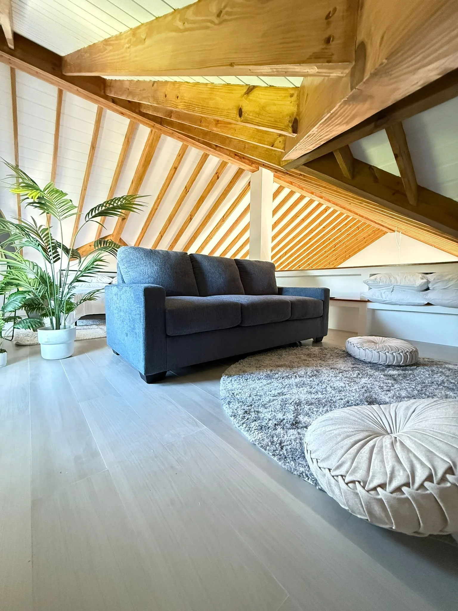 WhatsApp Image 2025-11-22 at 13.50.51.jpeg