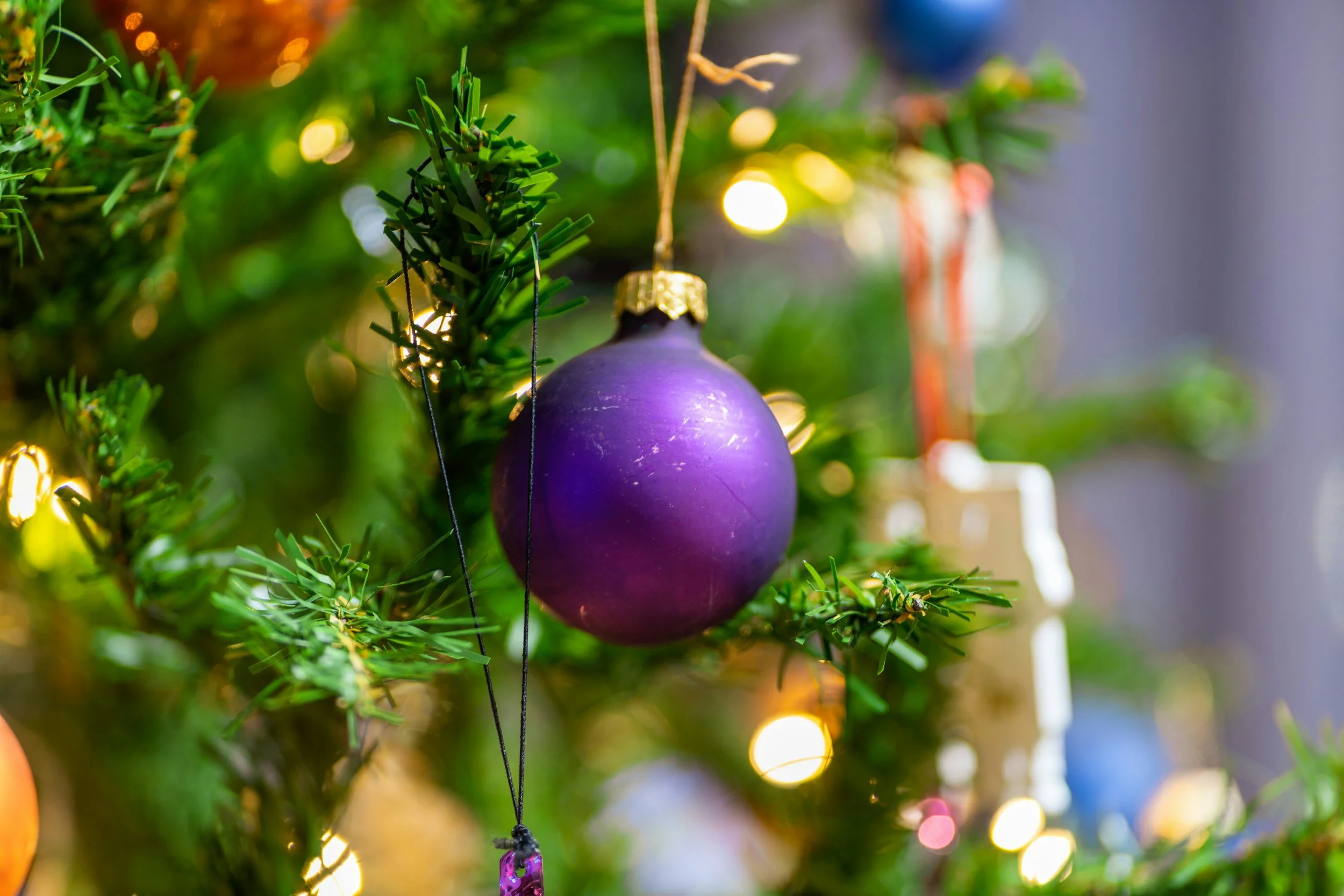 The HOlidays are here and it is almost christmas!