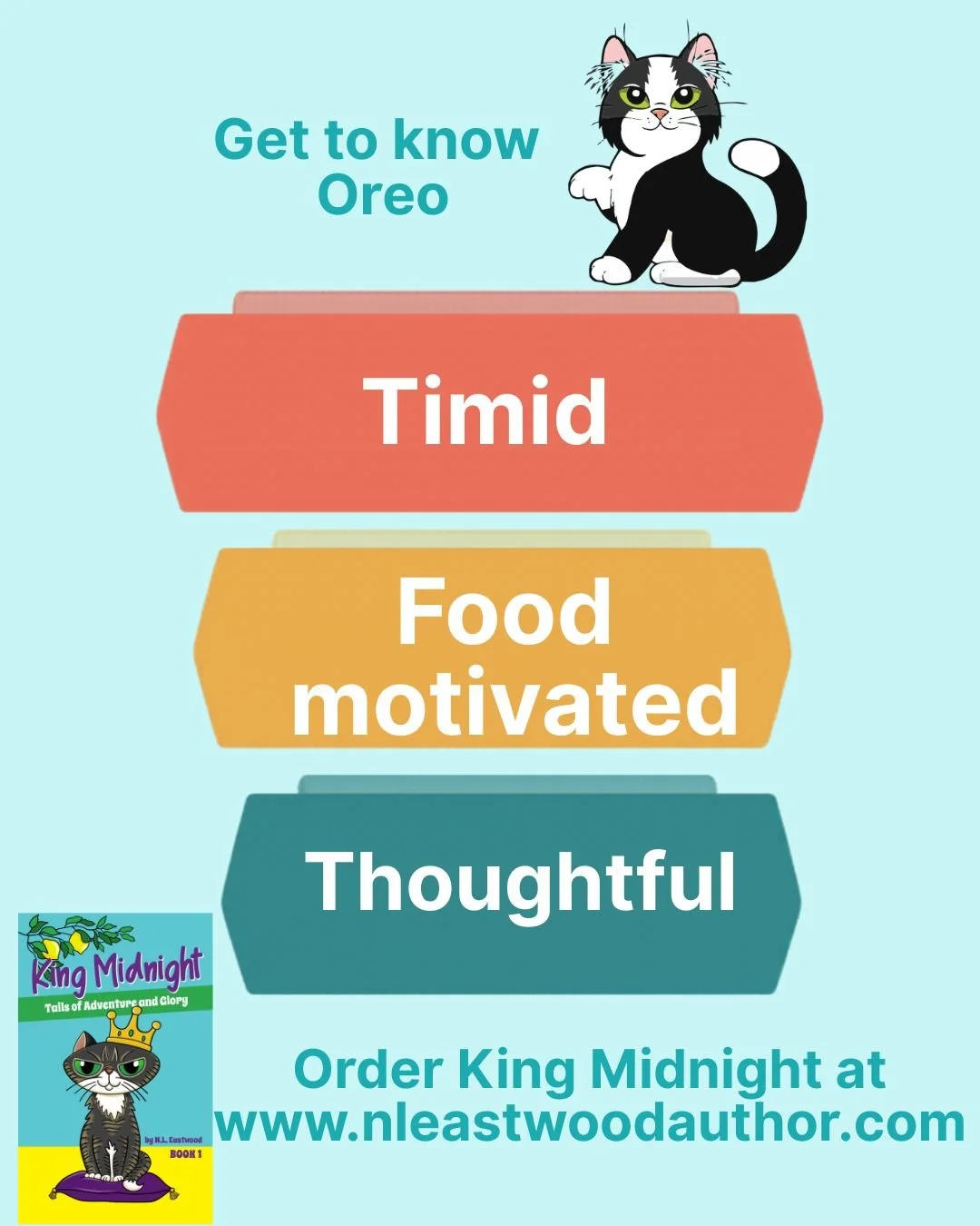 Discover Oreo