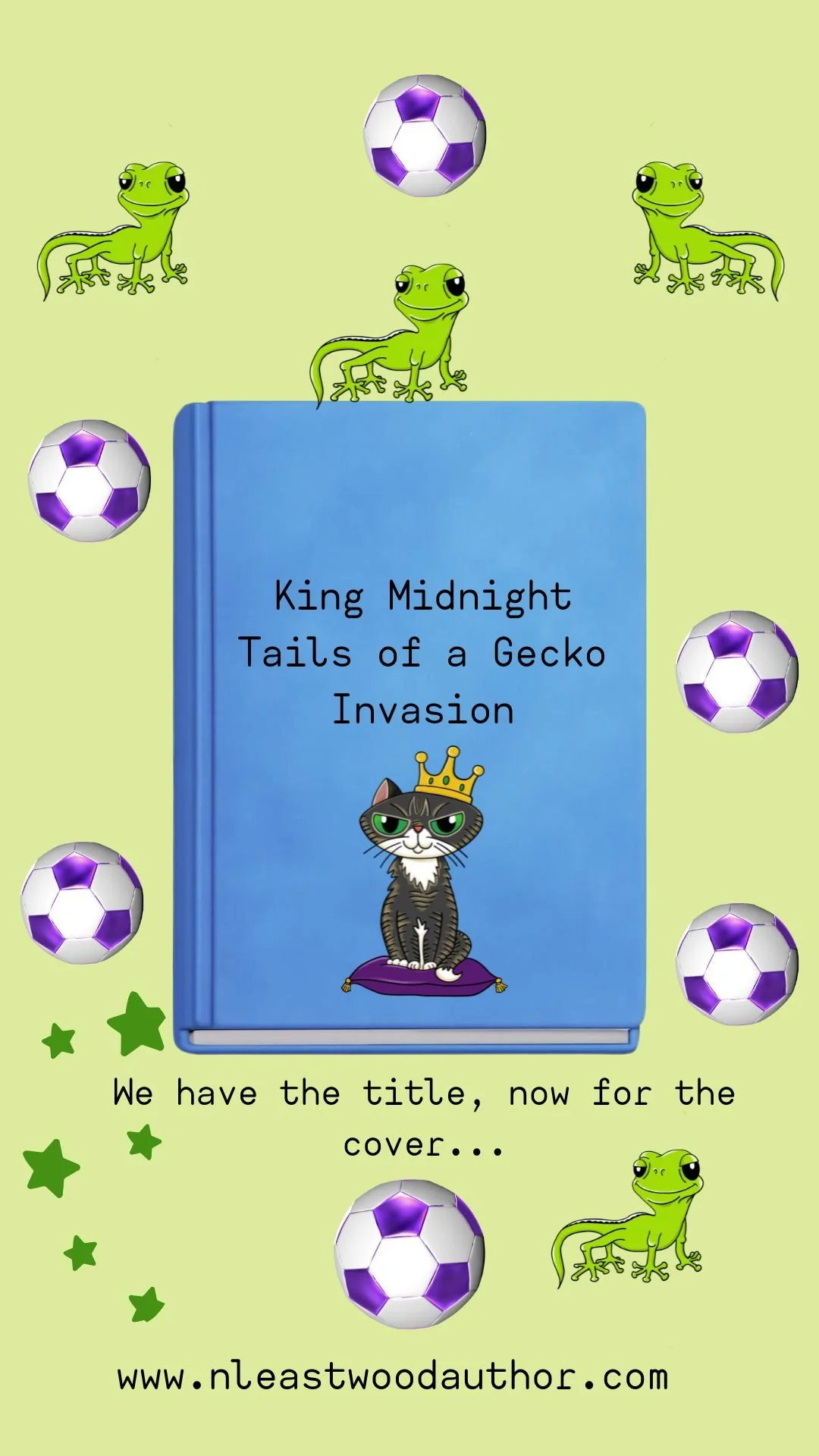 What will the cover look like?