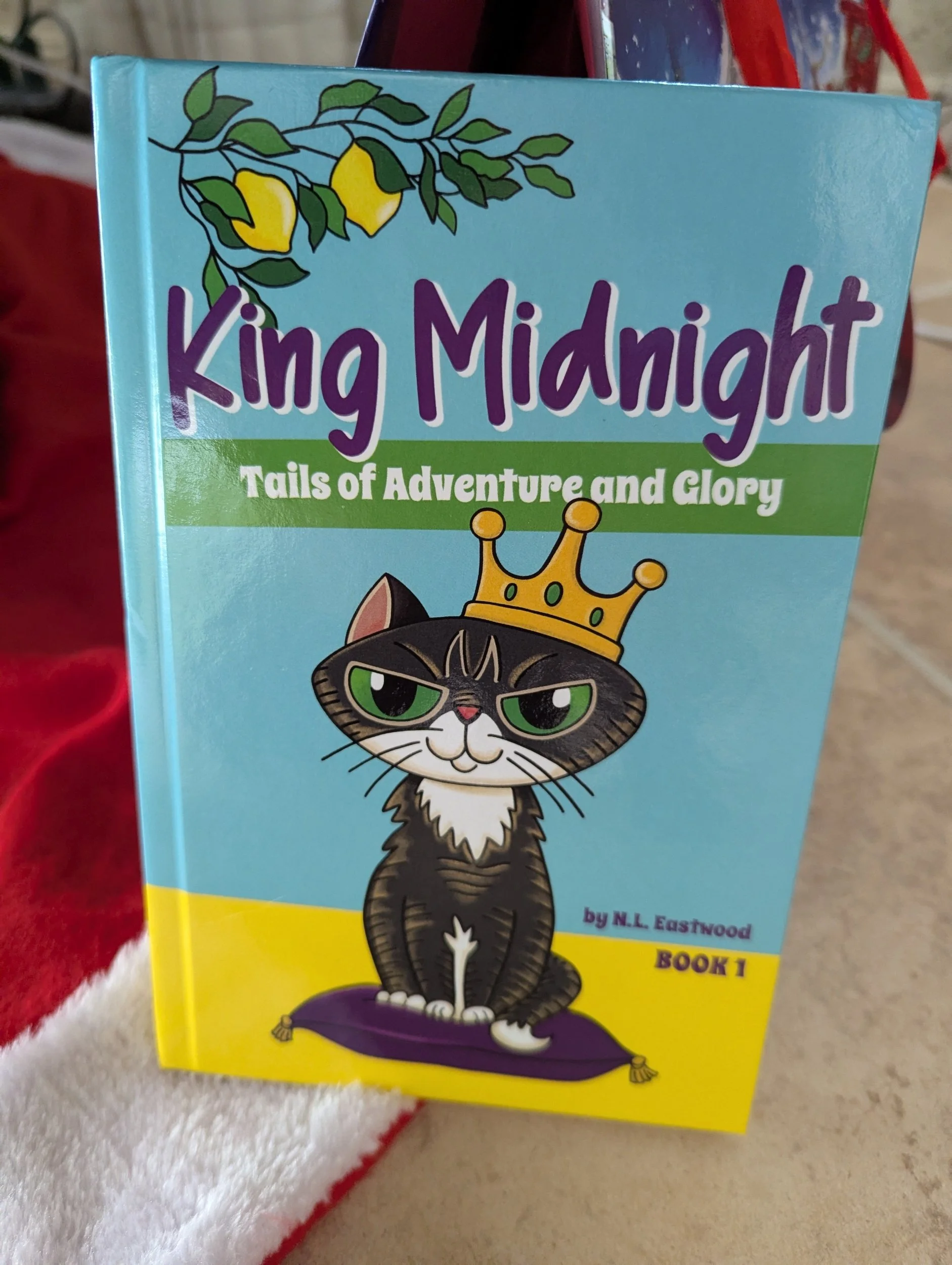 King Midnight loves living under the Christmas tree!