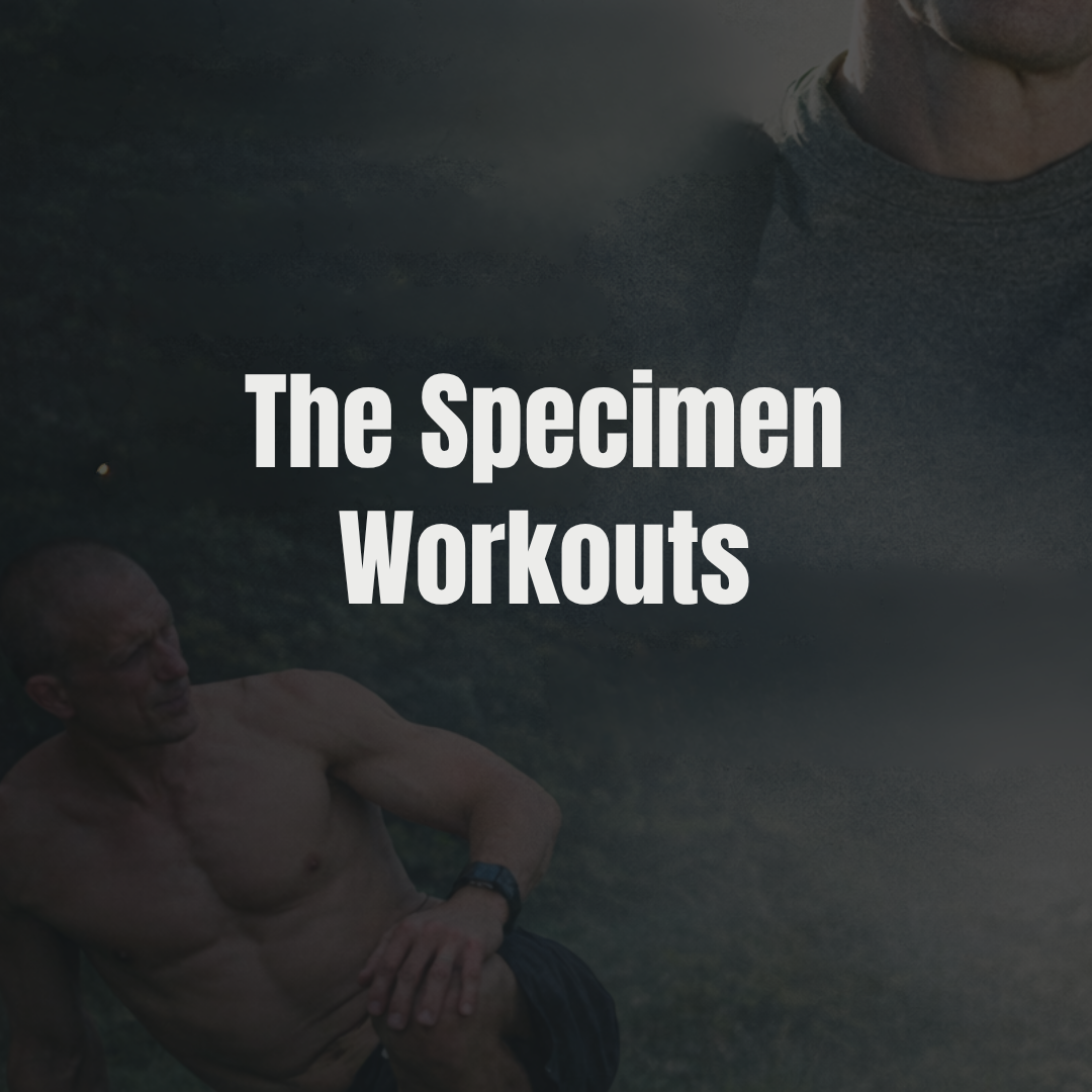 Steve's Video Shop (32).png