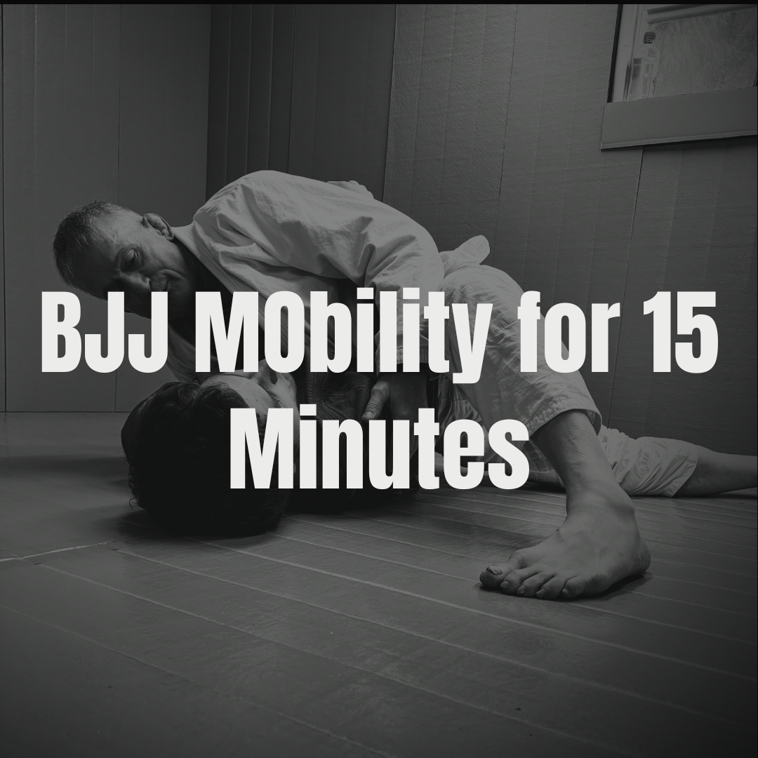 Steve's Video Shop (6).png