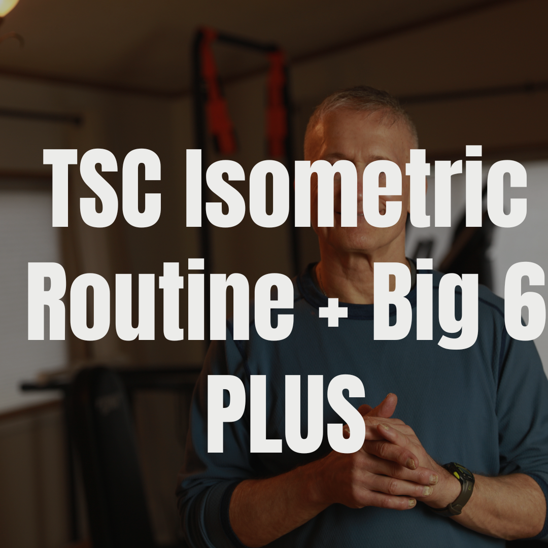 The Big 6 Plus + TSC Isometric Sequences Bundle