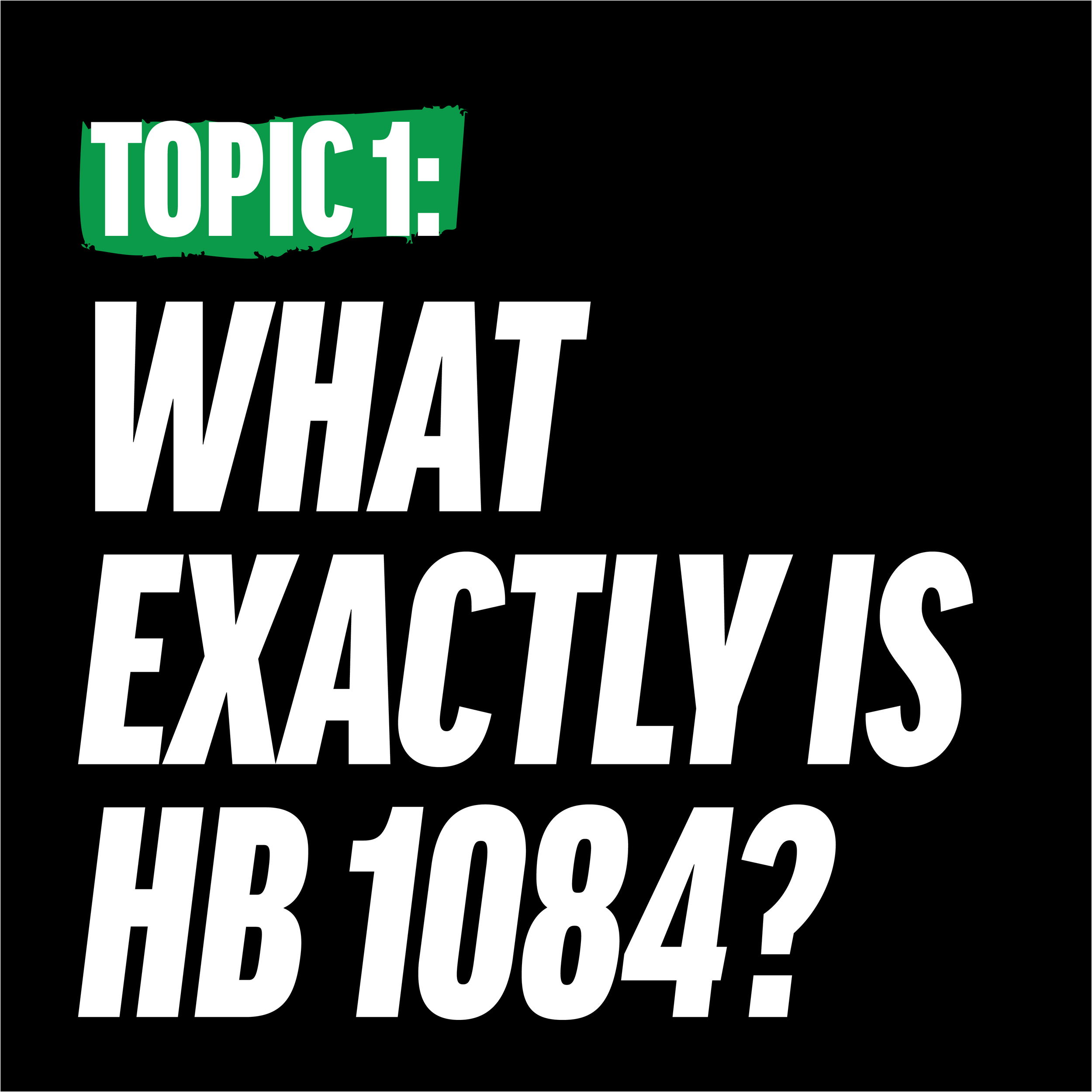 instagram campaign-02.png