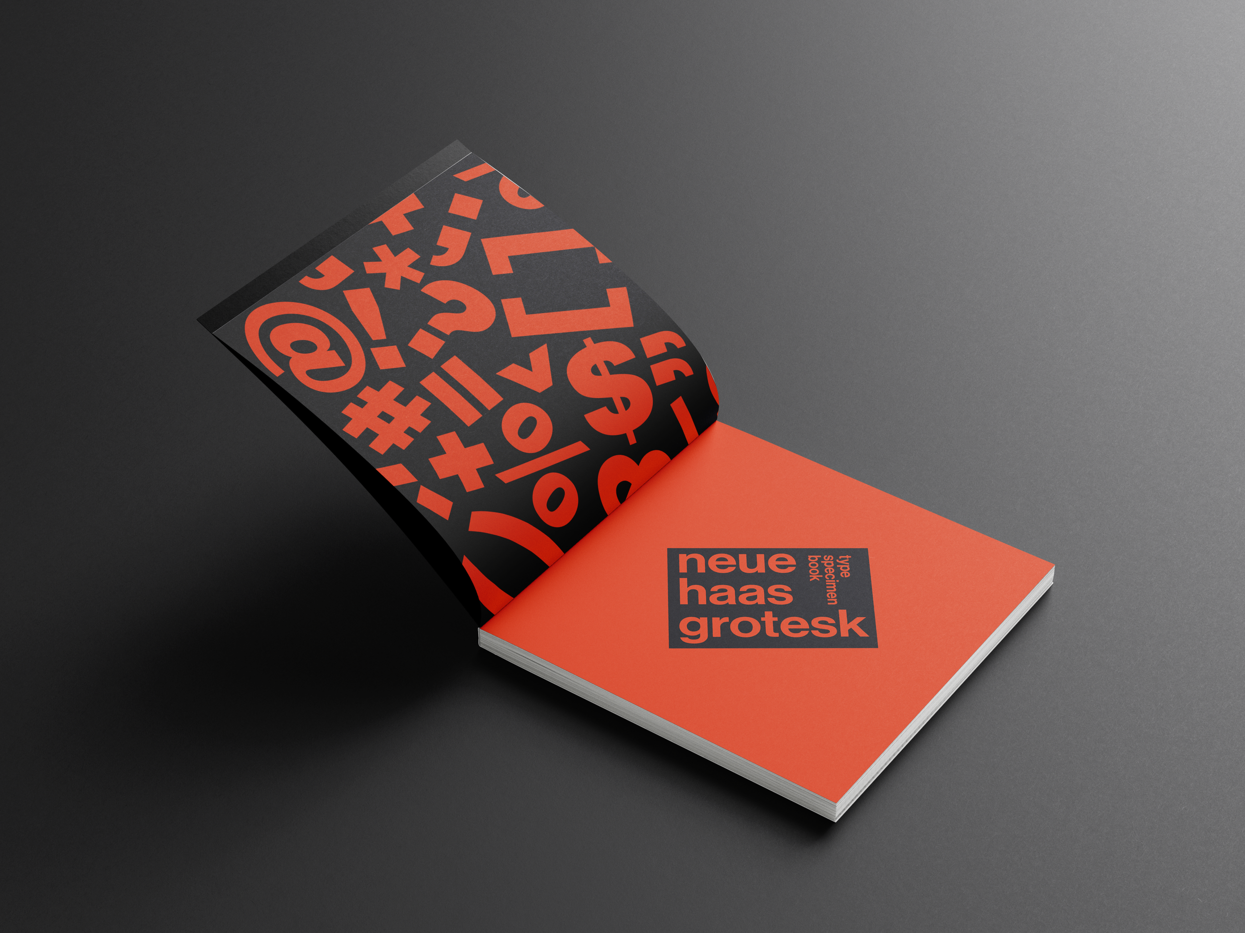 spread 3 mockup.png