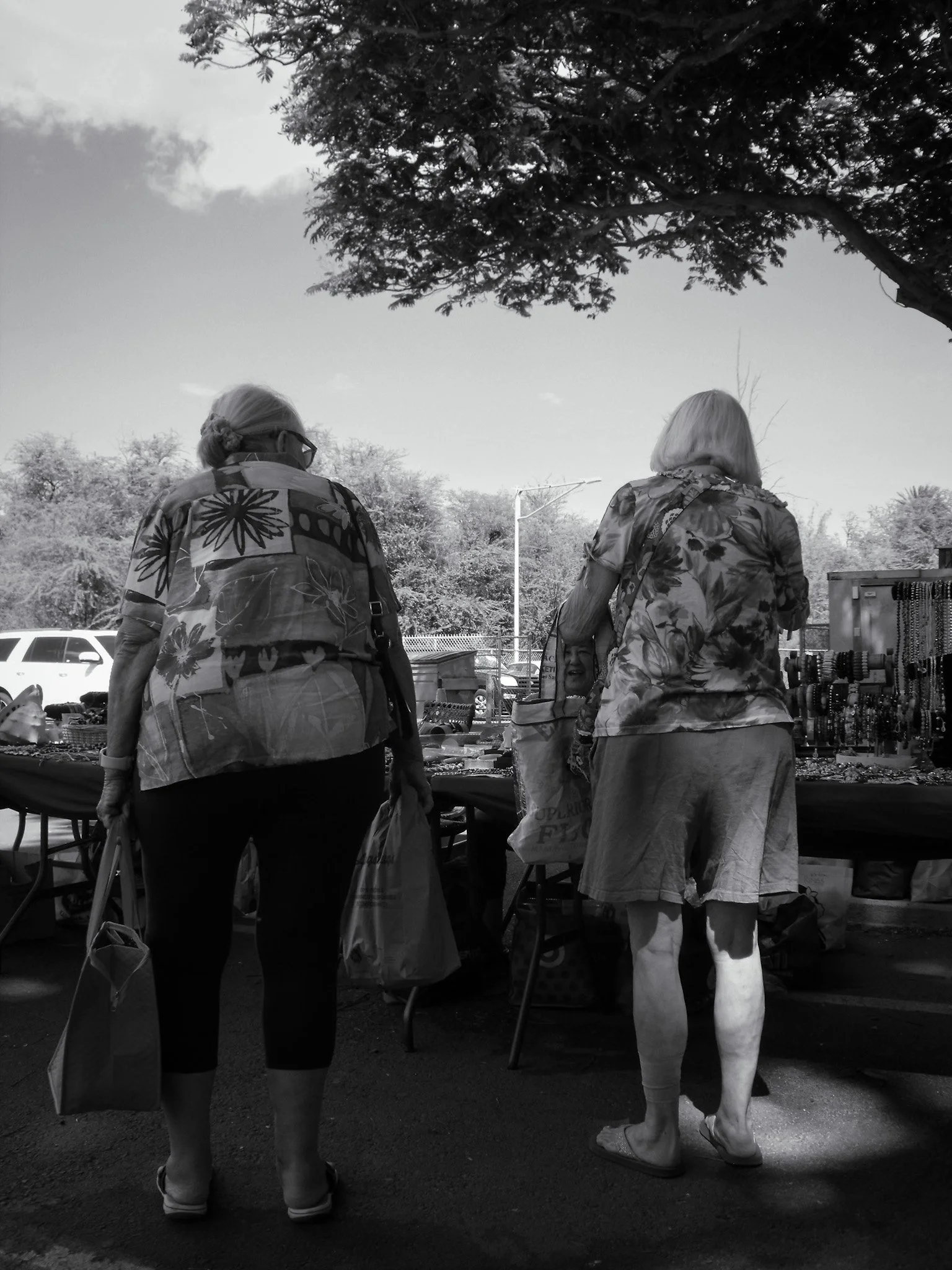 DSCF0457 2.jpg
