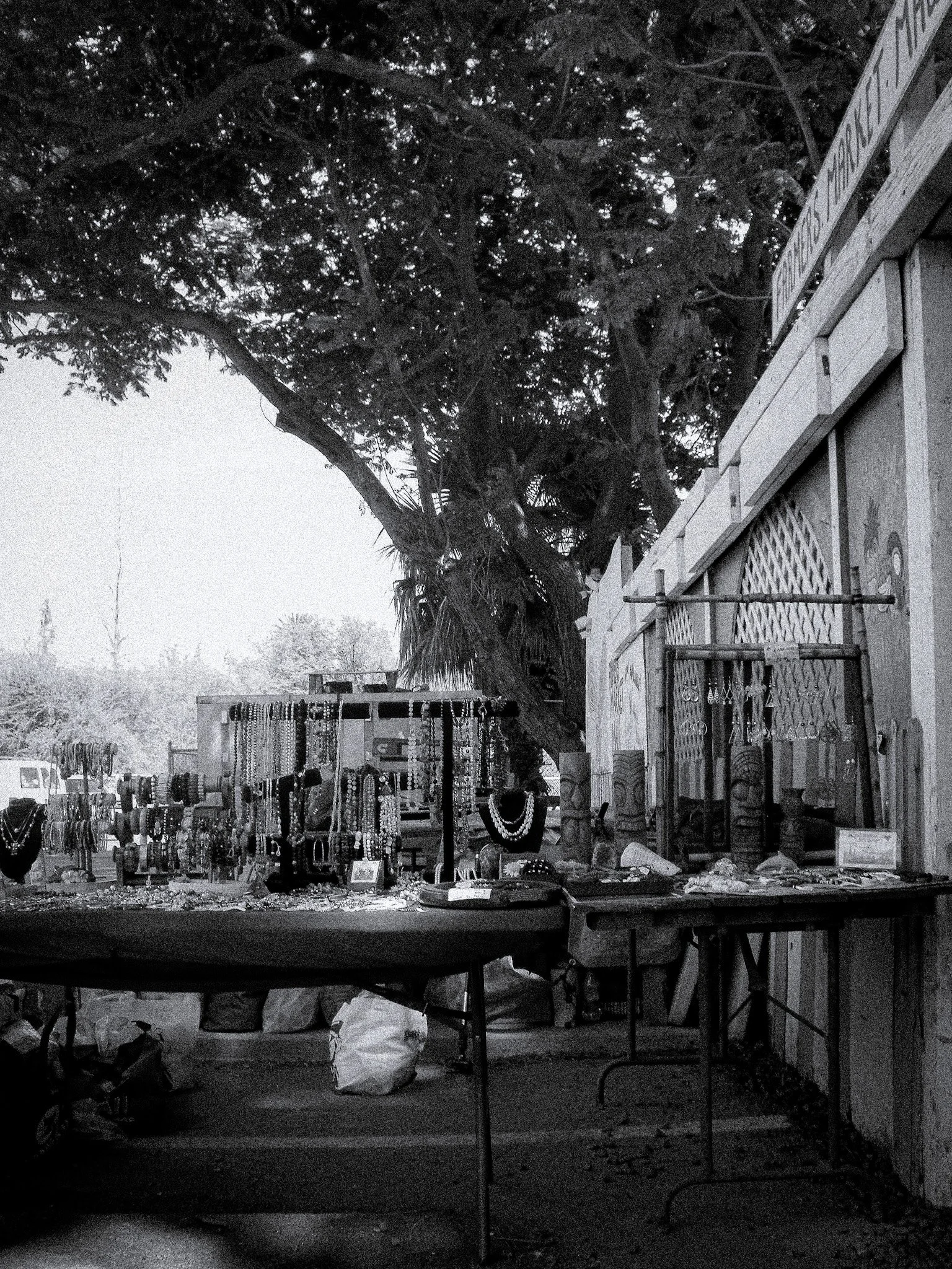 DSCF0458 3.jpg