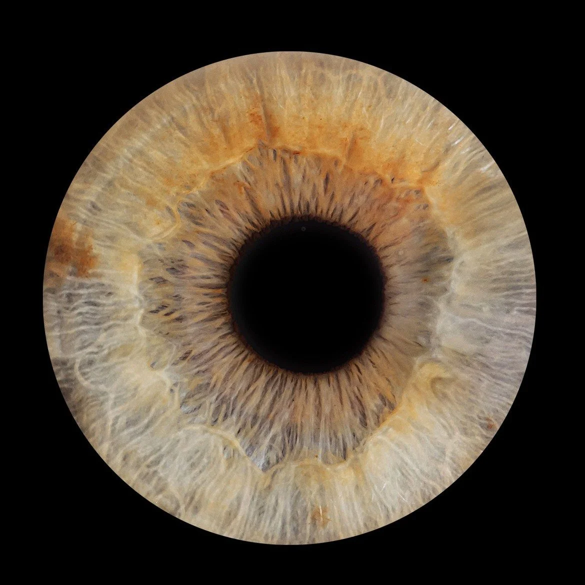 Nous portons tous des mondes entiers derri&egrave;re un simple regard.
Des cicatrices, des r&ecirc;ves, des couleurs que personne d&rsquo;autre ne voit.
Chaque iris raconte une v&eacute;rit&eacute; silencieuse &mdash; celle de notre passage, de notre