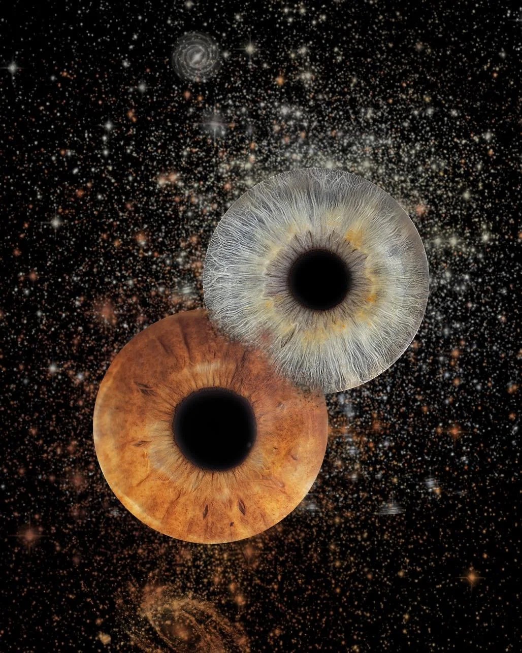 ✨ Explore la galaxie cach&eacute;e dans ton regard ✨
Chaque iris est un univers unique &mdash; un m&eacute;lange de couleurs, de textures et de lumi&egrave;re que seule la photo iris peut r&eacute;v&eacute;ler.
Viens d&eacute;couvrir la beaut&eacute;