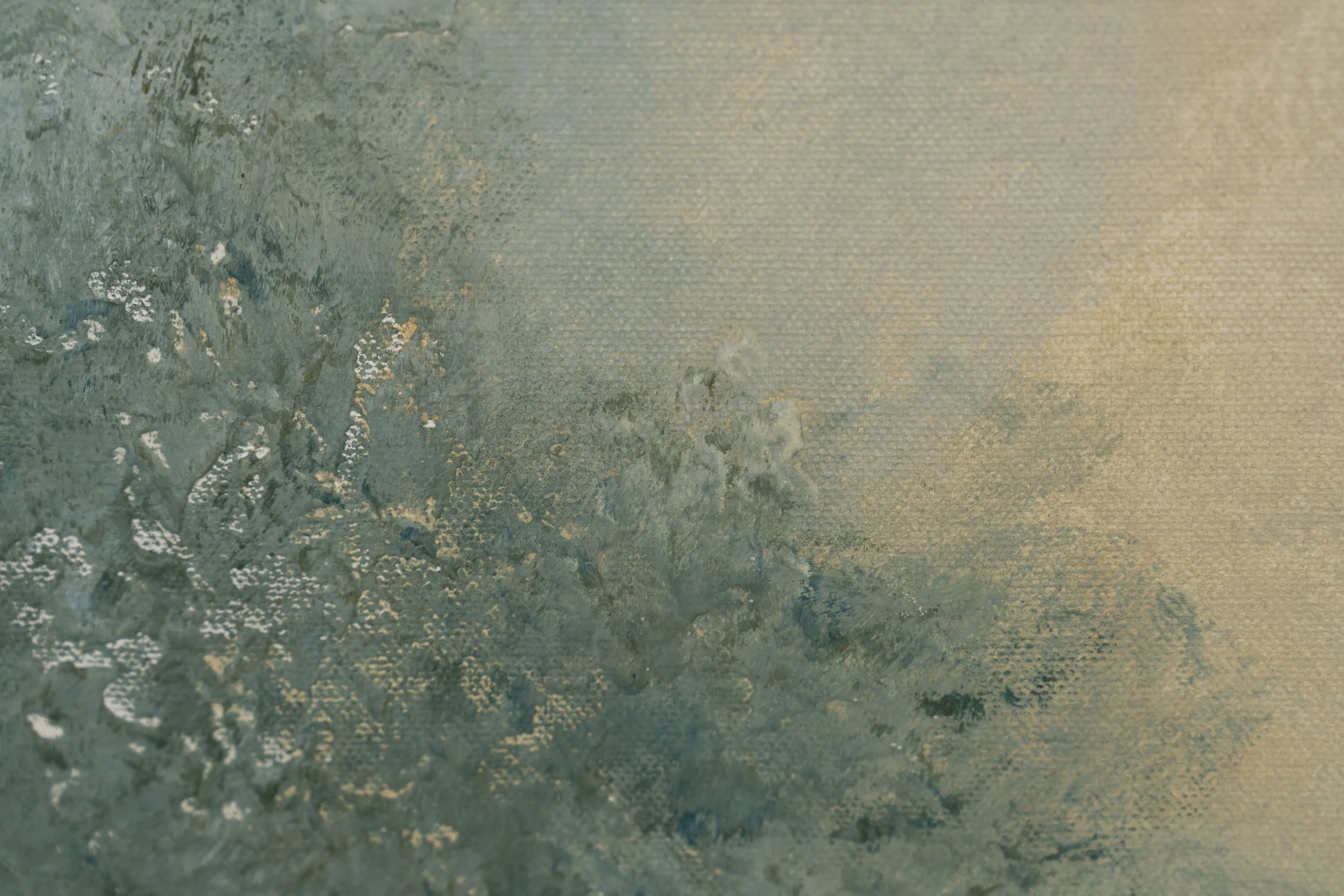 Field Study of Morning Light II-16.jpg