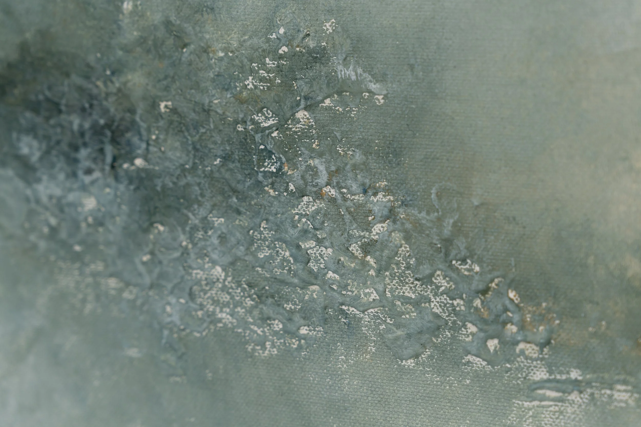 Field Study of Morning Light-17.jpg