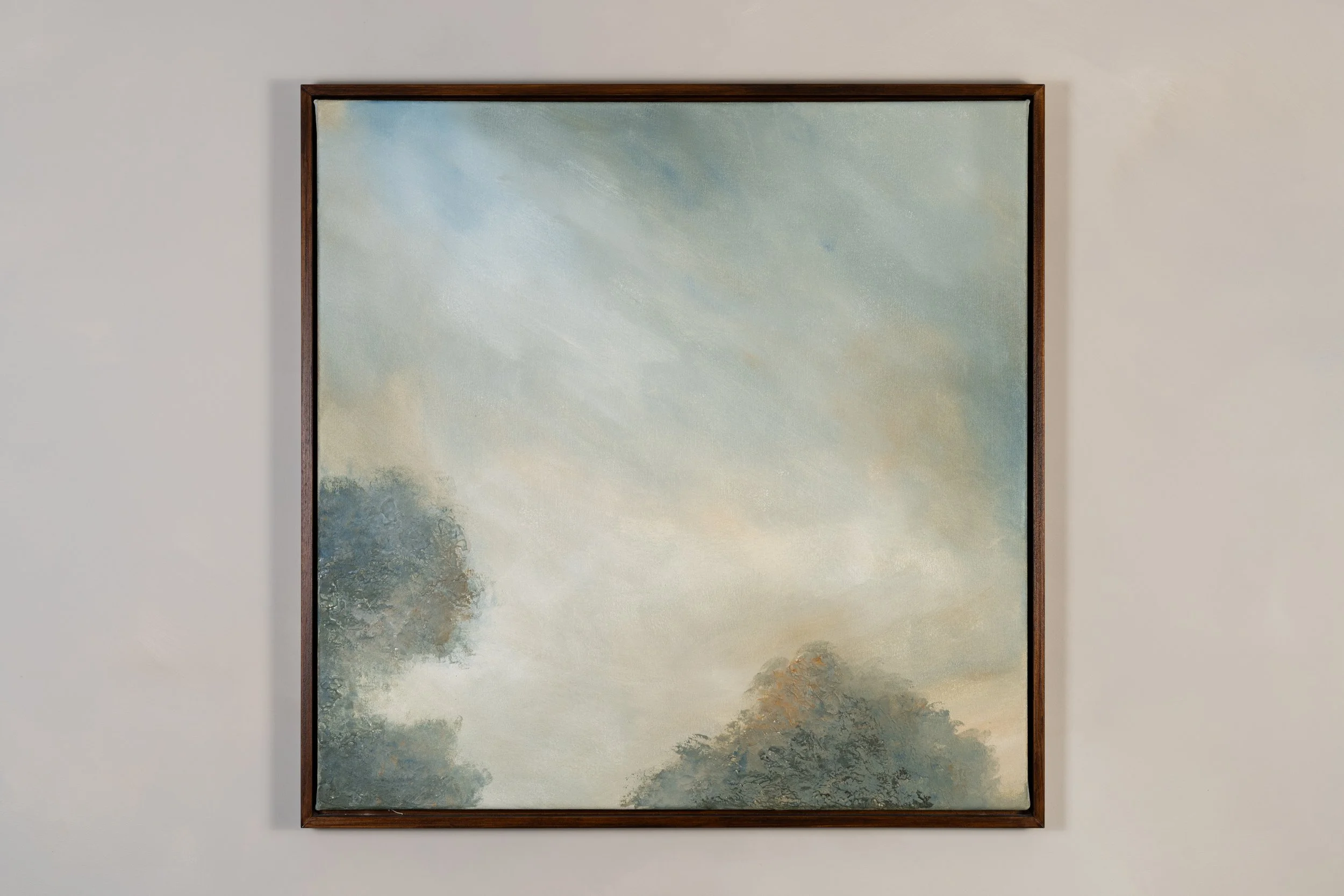 Traces of Light-1.jpg