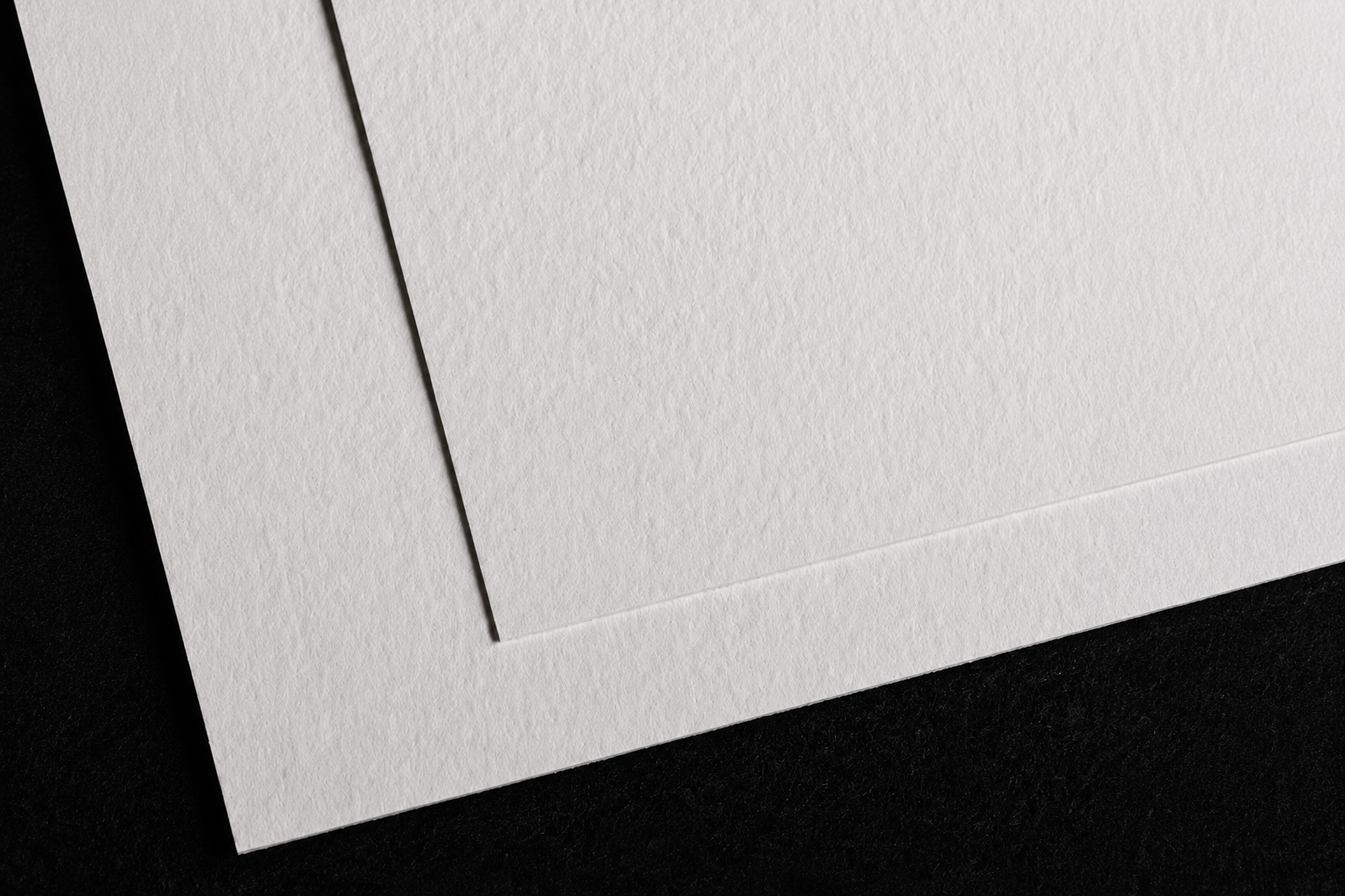 Marrutt Paper.png