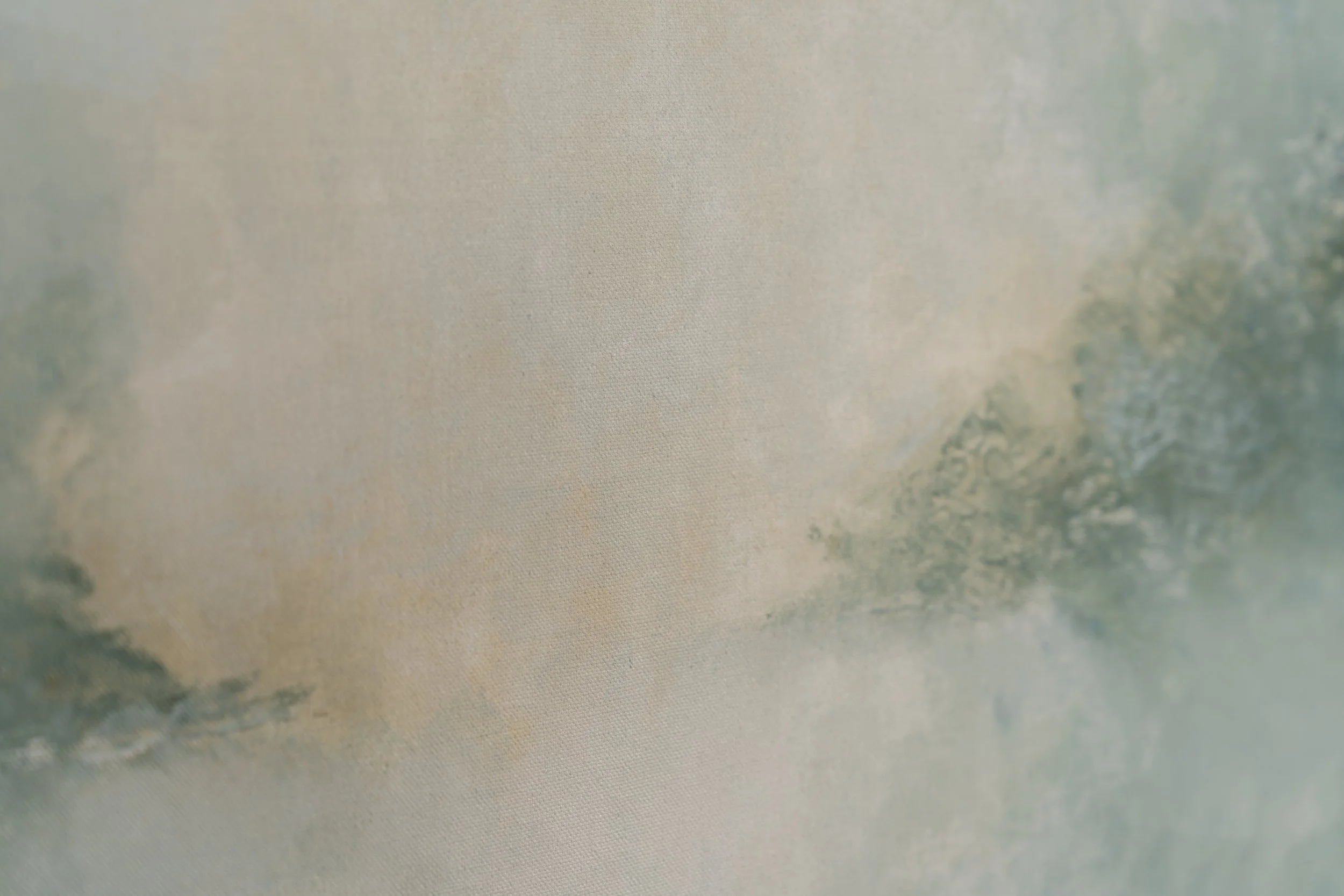 Field Study of Morning Light-11.jpg