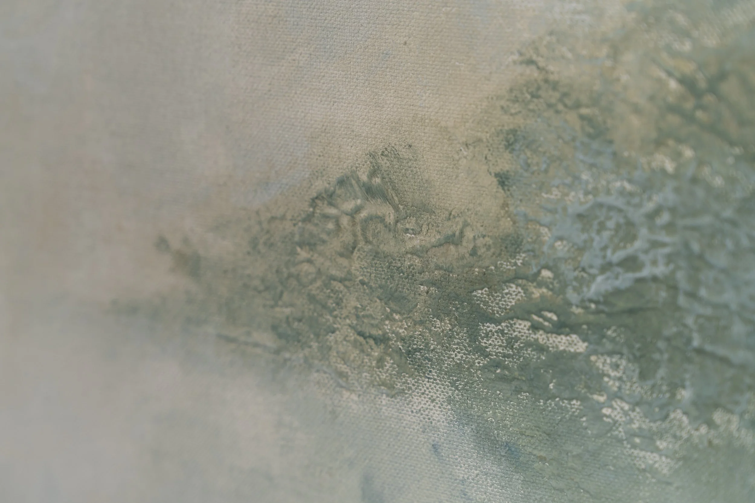 Field Study of Morning Light-16.jpg