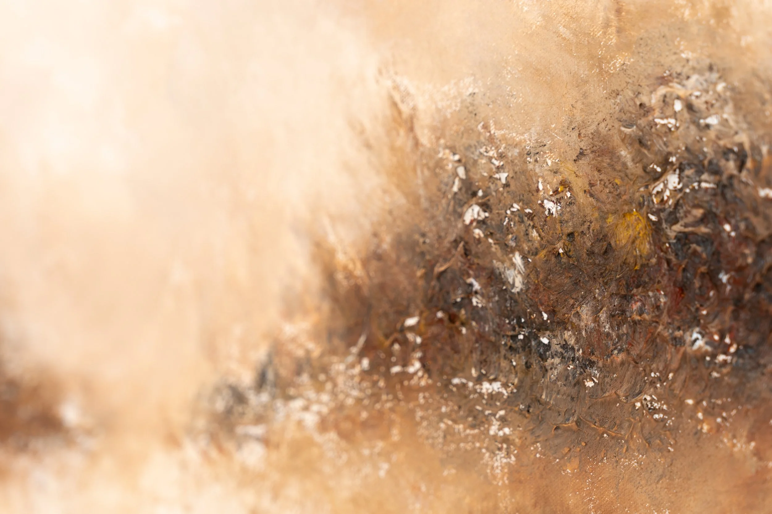 A Borrowed Name-15.jpg