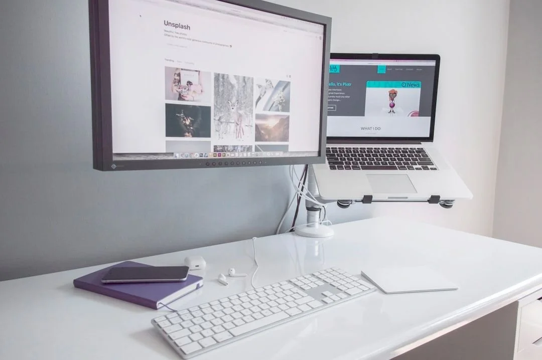 Information architecture on government websites is a governance problem, not a design problem