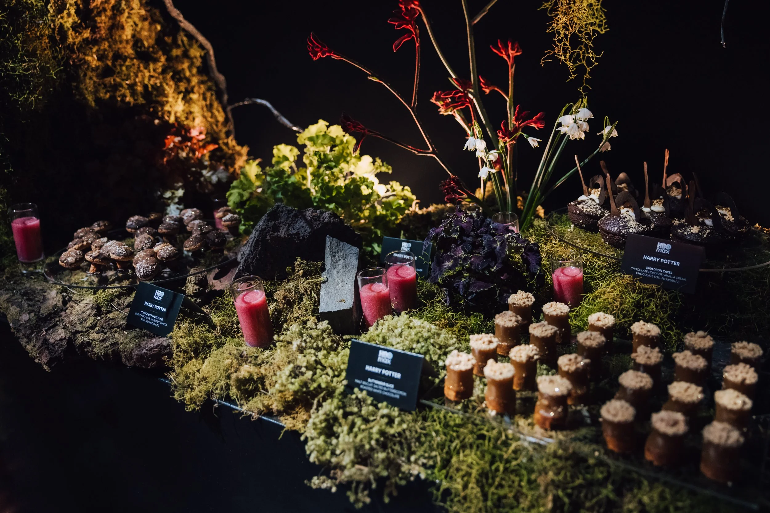 HBOMaxLaunchNZ-101.jpg