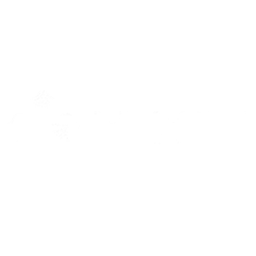 13.png
