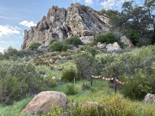 Mind-to-Mind Transmission (According to Claude)