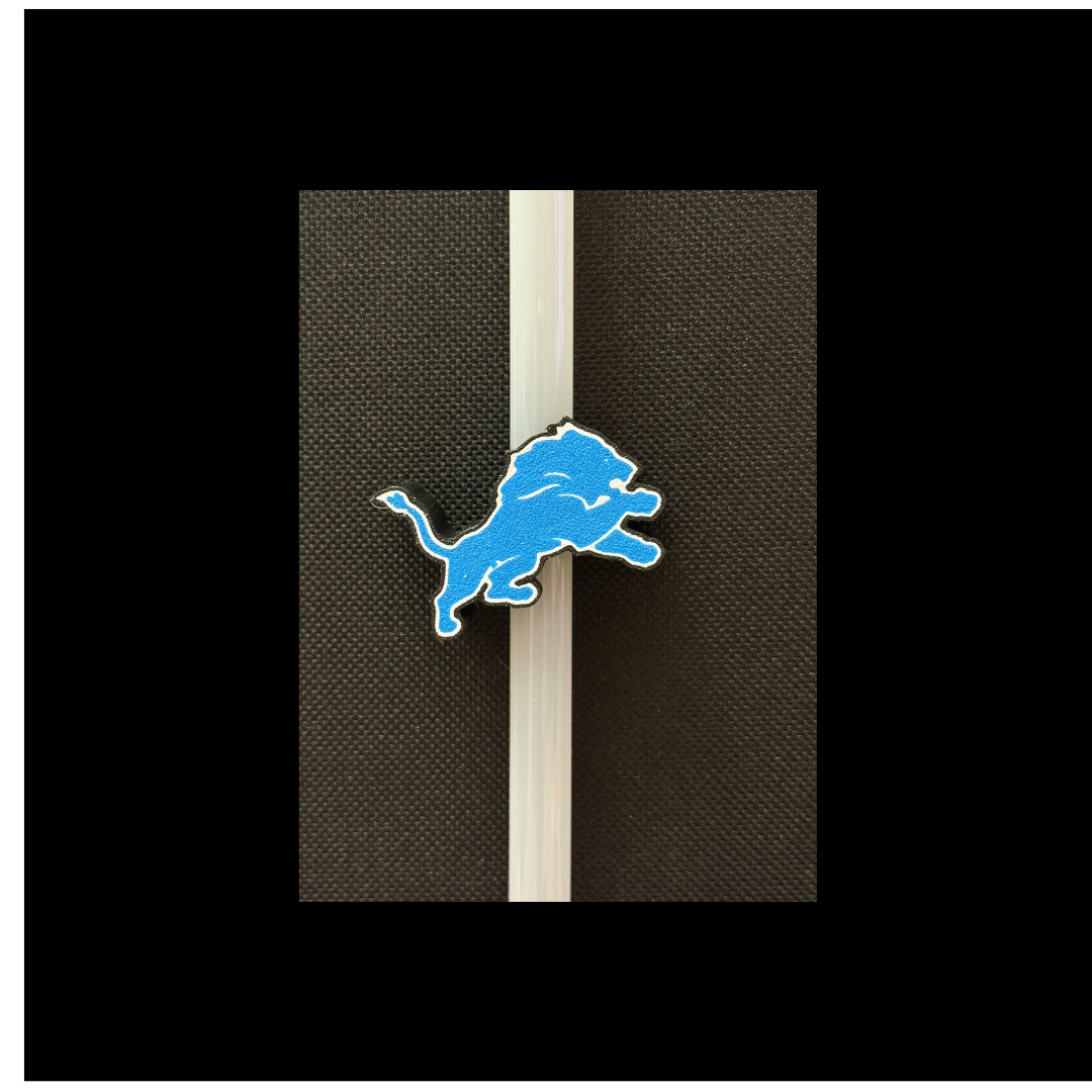 Lions Straw Buddy