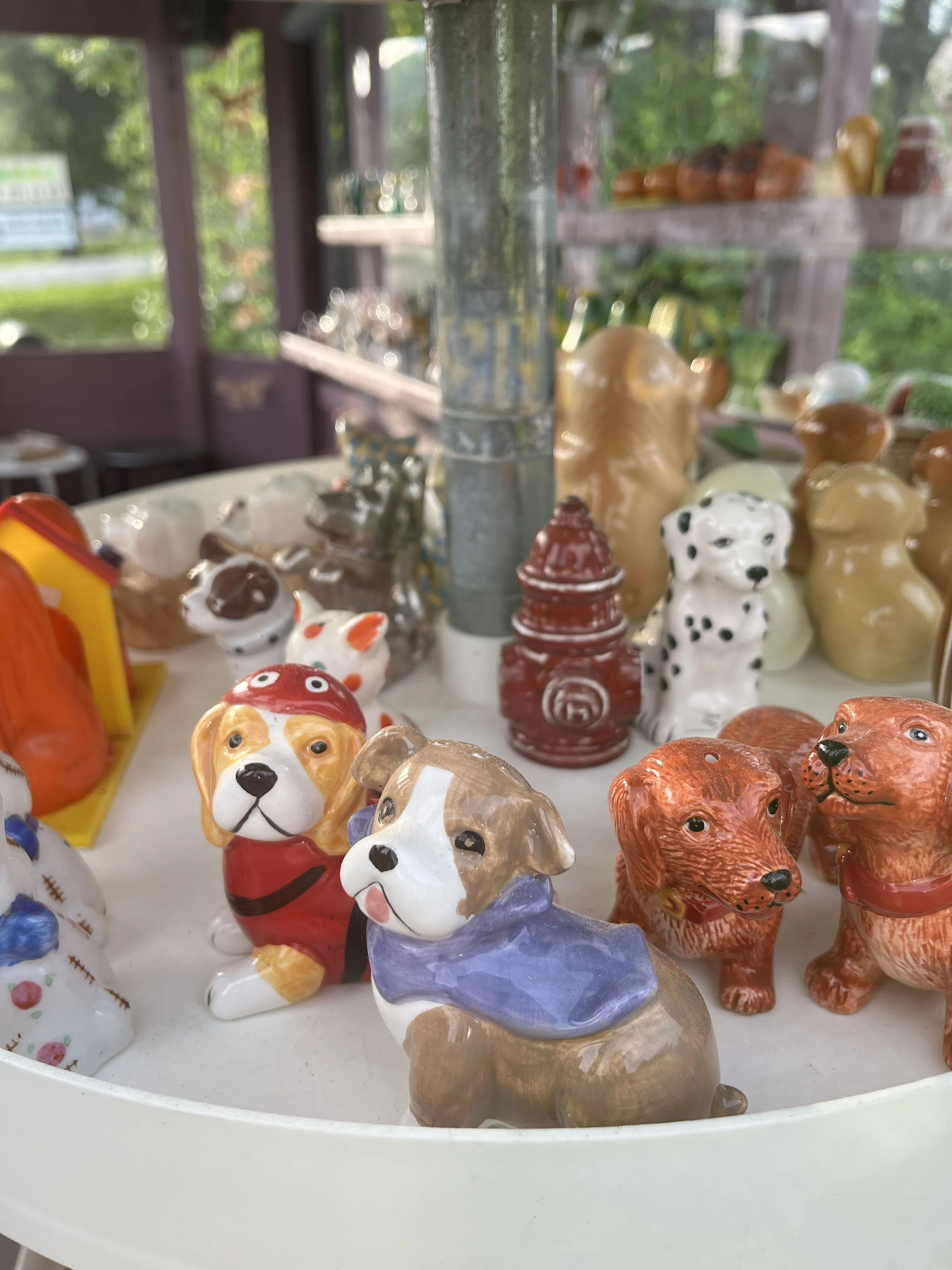 salt-pepper-dogs.JPG