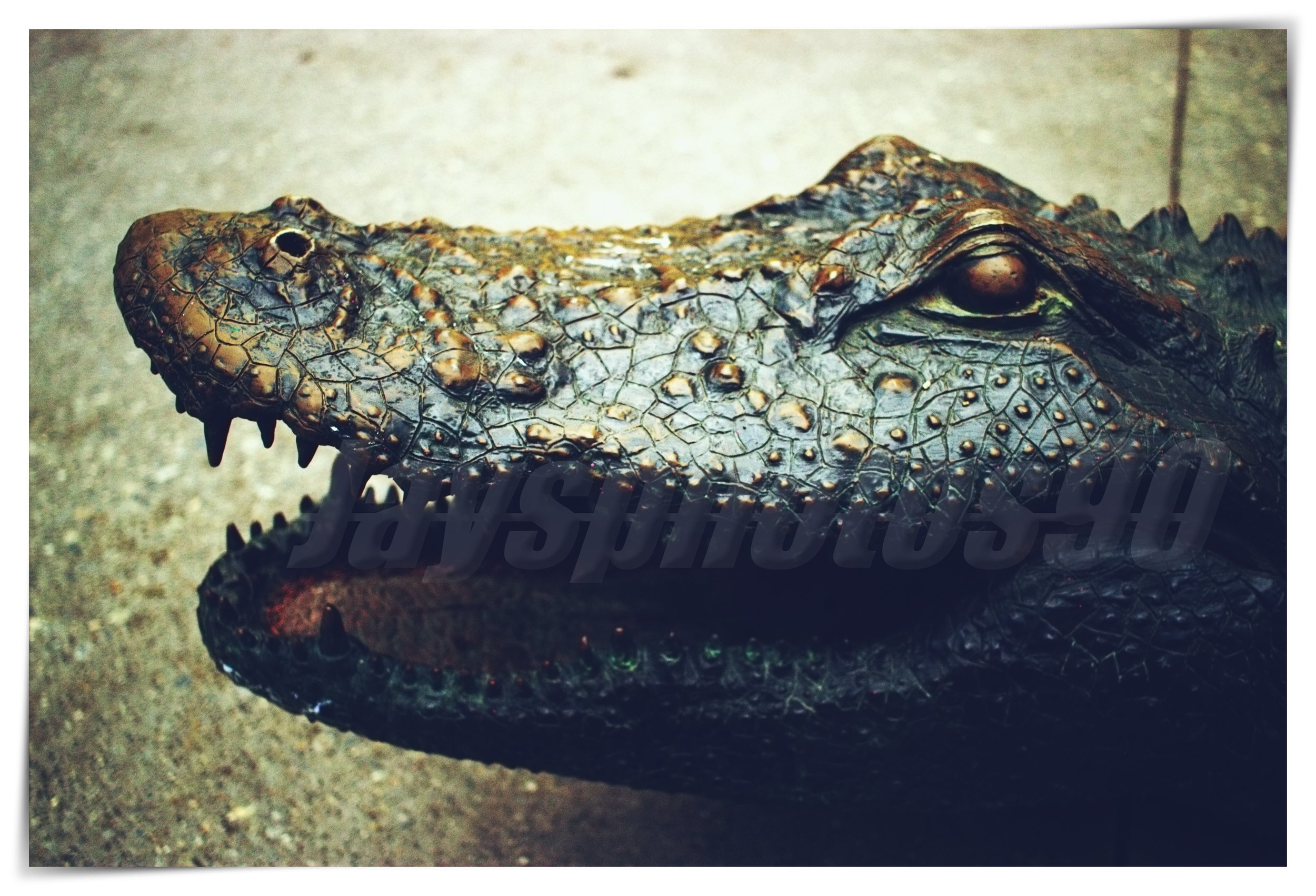 Close-up of a crocodile's head showing textured scales, eyes, and sharp teeth with a sandy background.