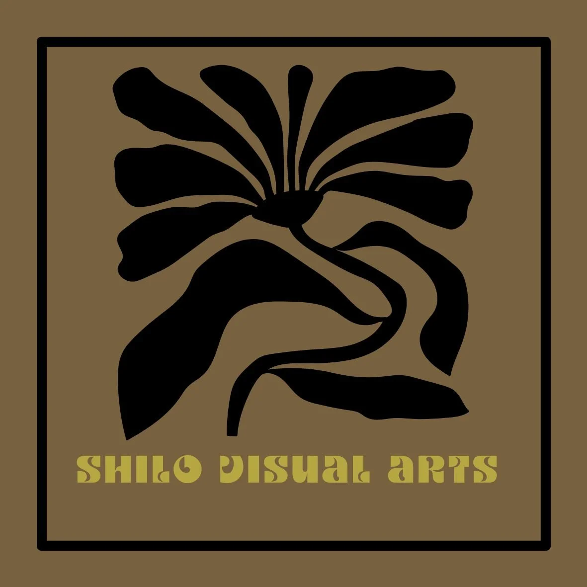 Shilo Visual Arts